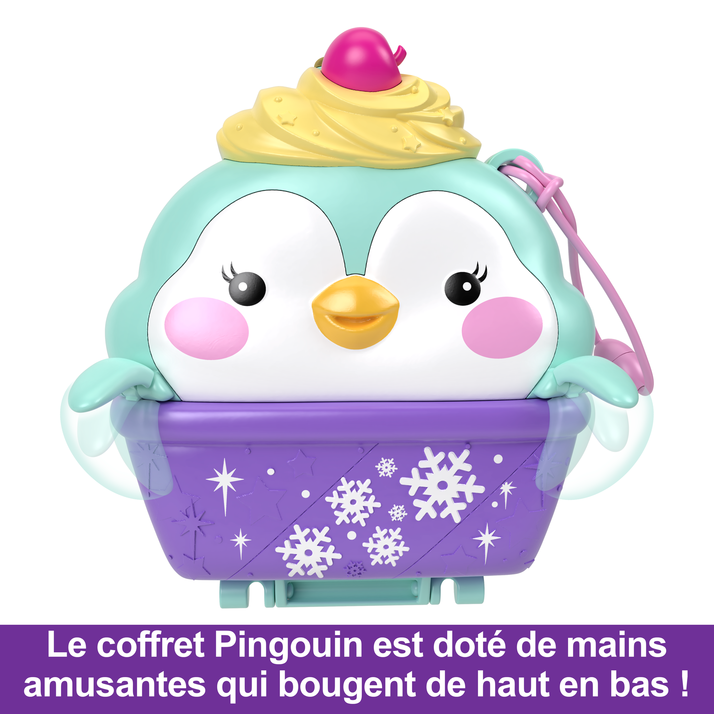 Coffret manchot à la neige
