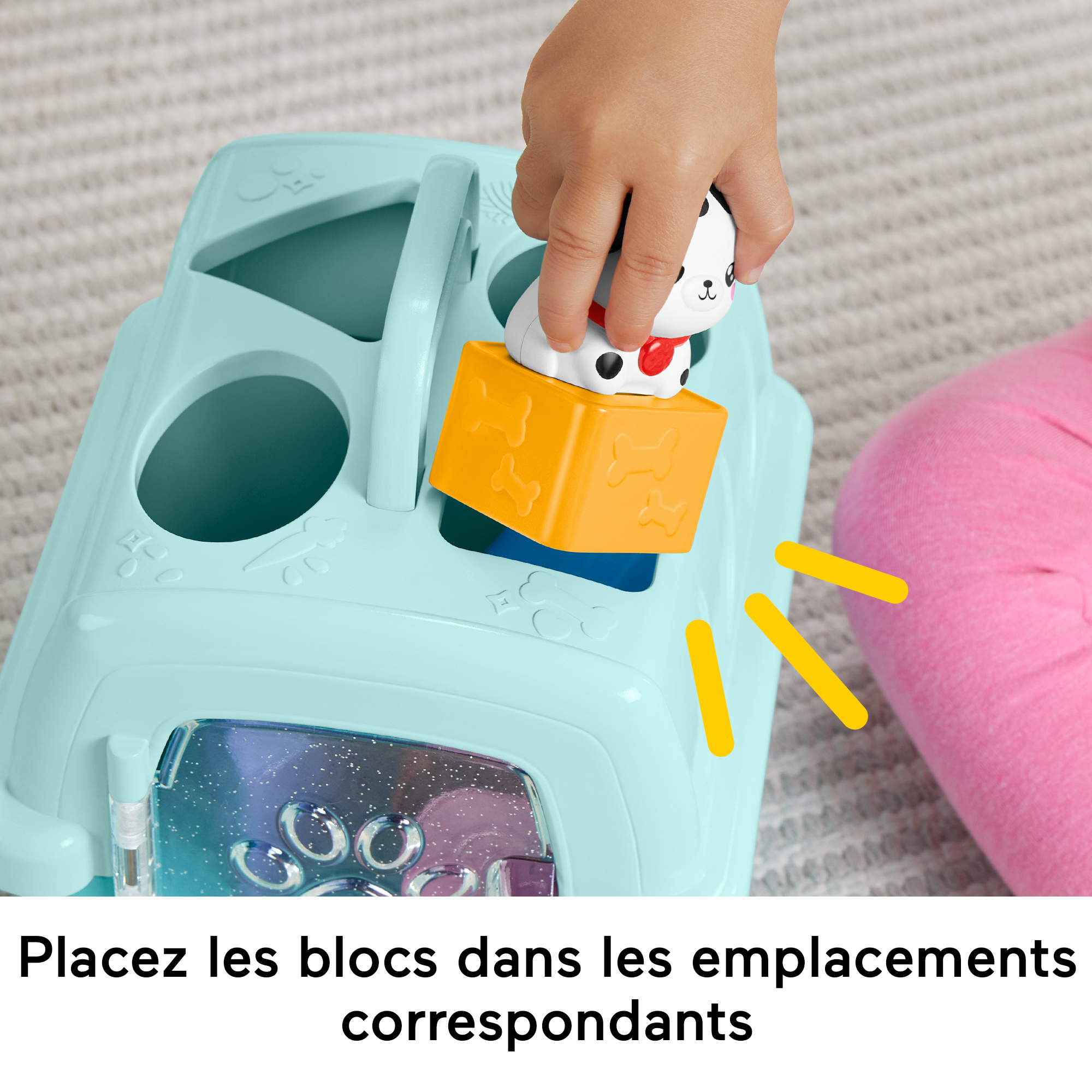 Boîte en forme d'animaux