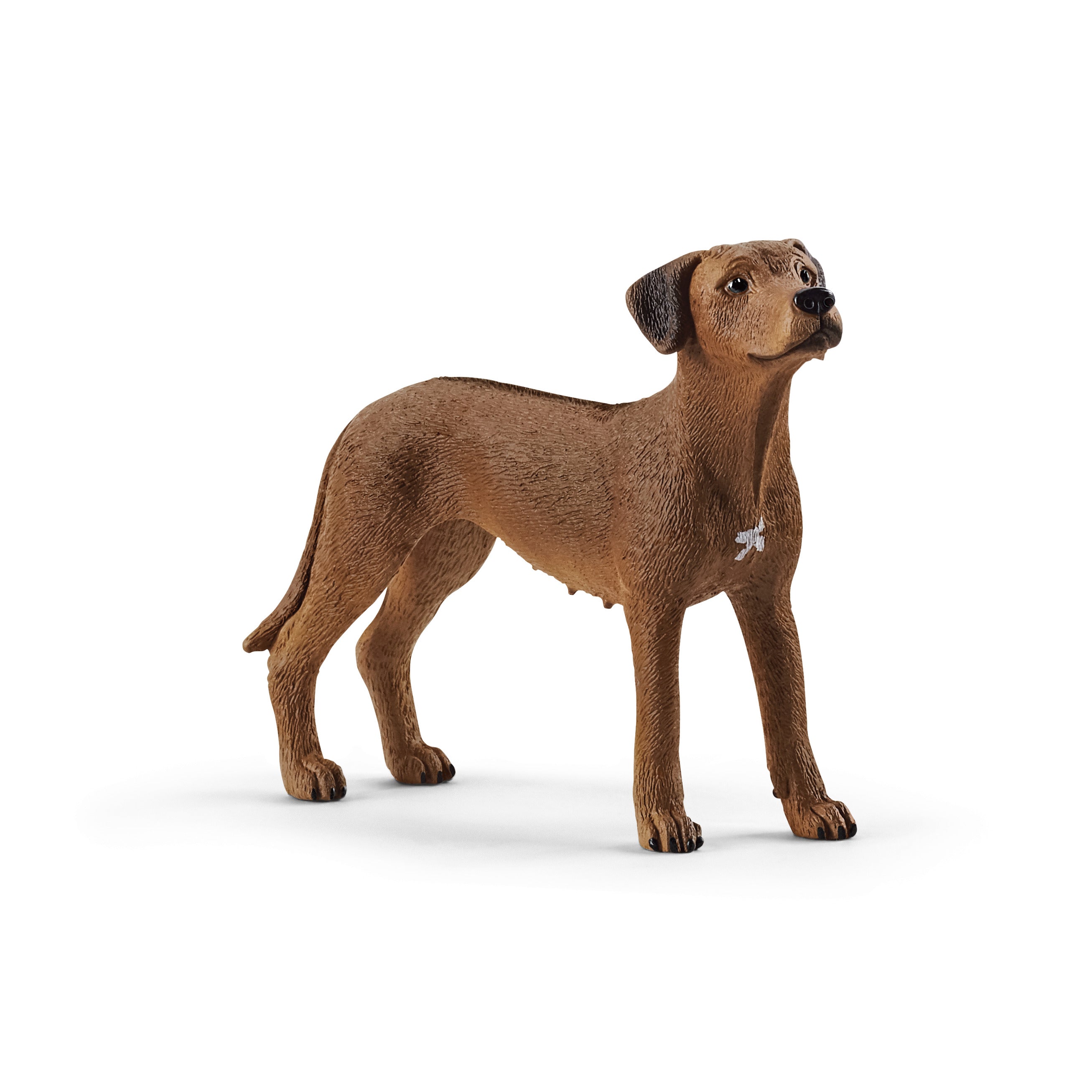 Figurine chien de rhodesie à crête dorsale - Farm World