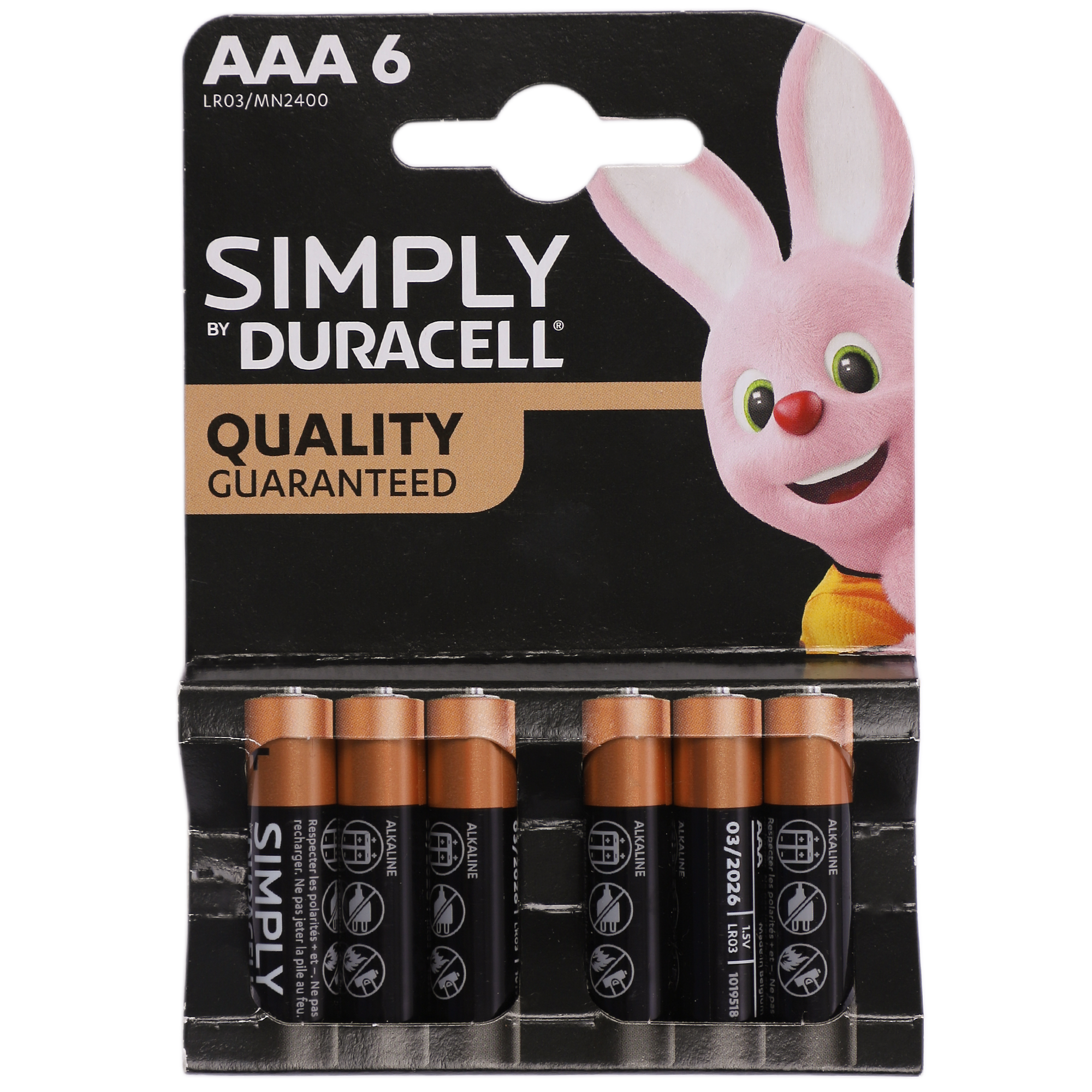 Lot de 6 piles simply AAA