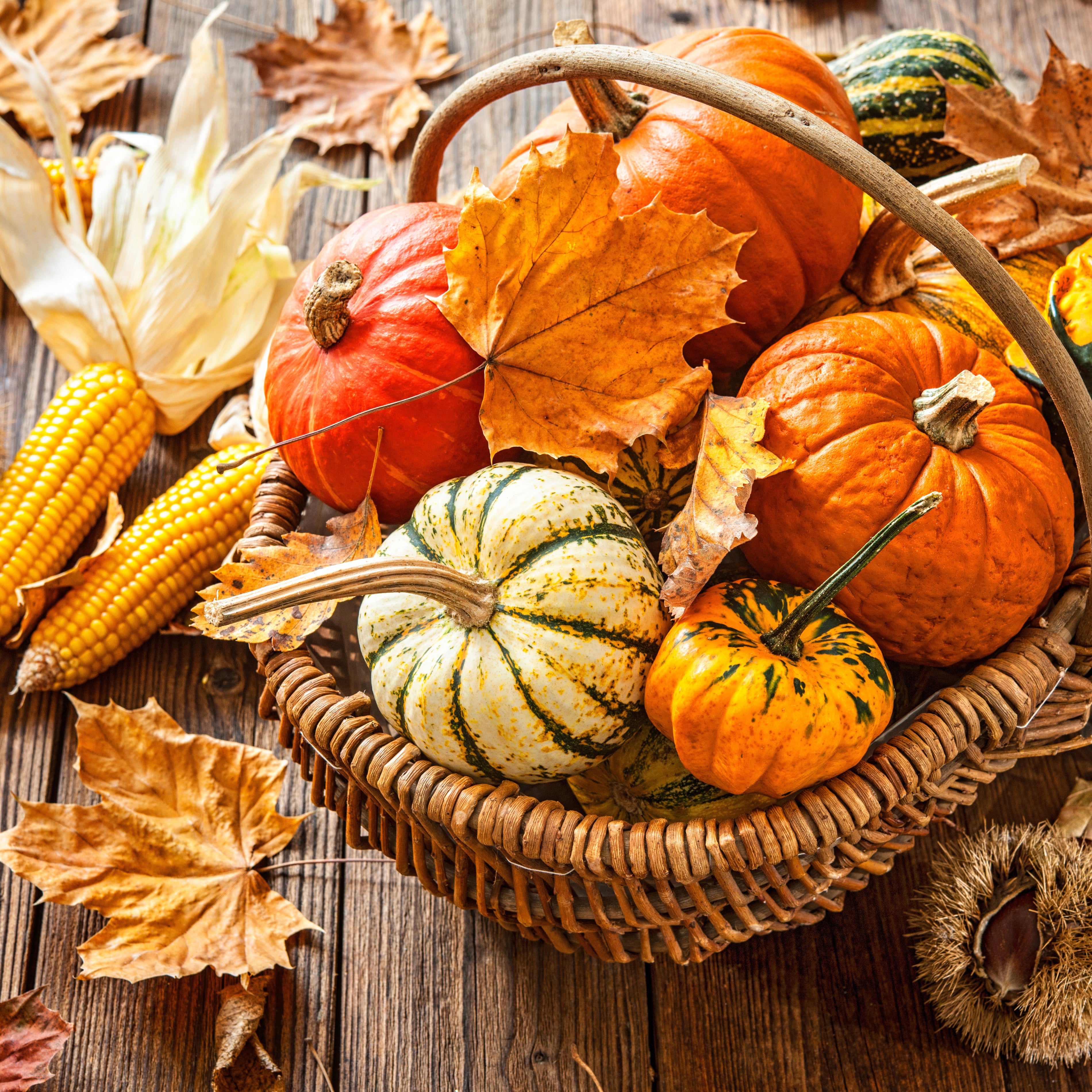 20 serviettes photoprint panier d'automne