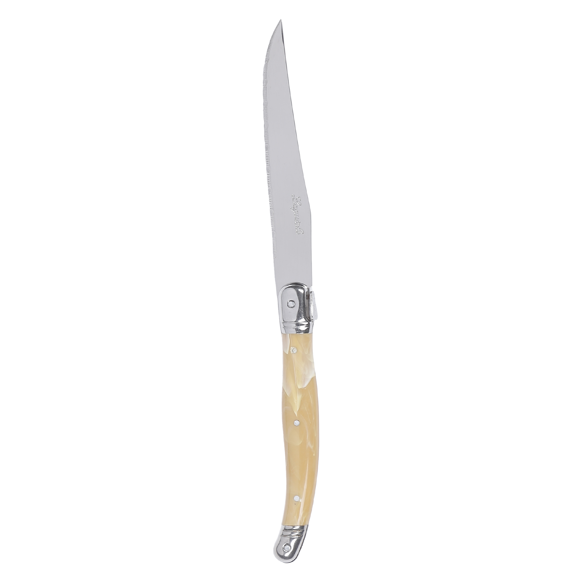 6 couteaux Inox avec manche façon corne et bloc de rangement