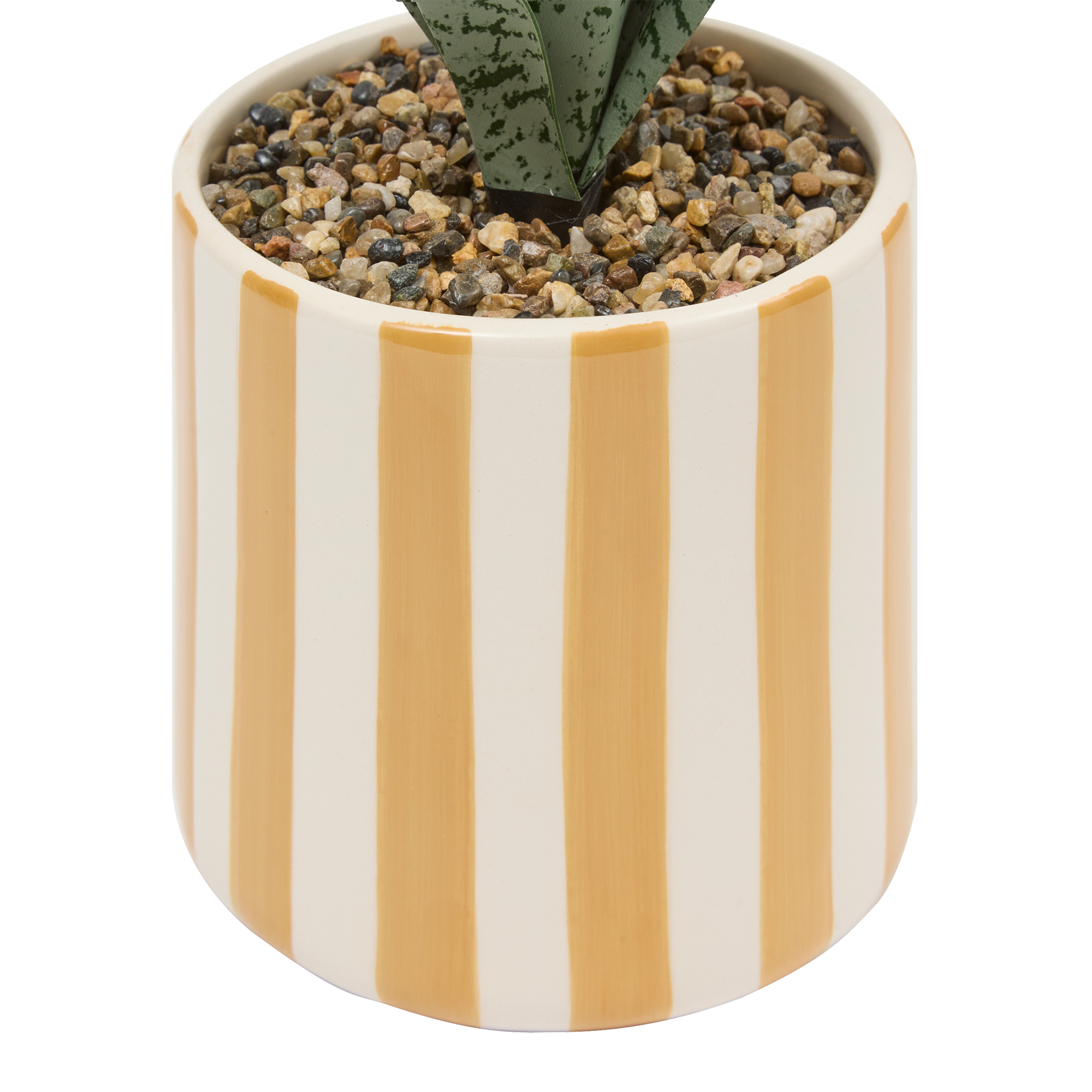 Plante verte pot céramique à rayures