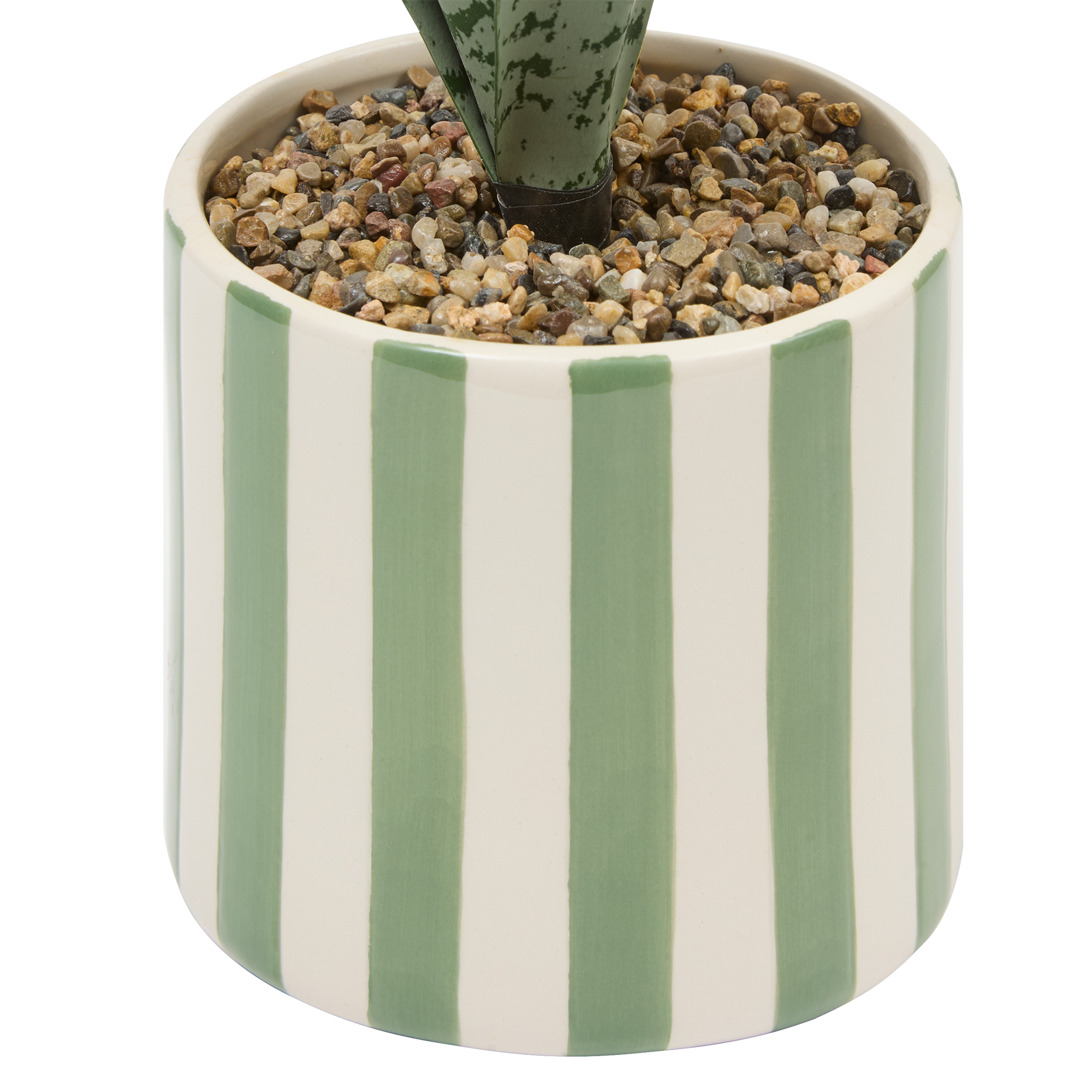 Plante verte pot céramique à rayures