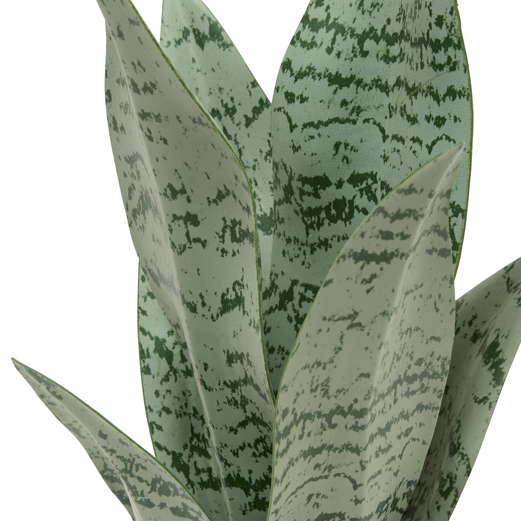 Plante verte pot céramique à rayures