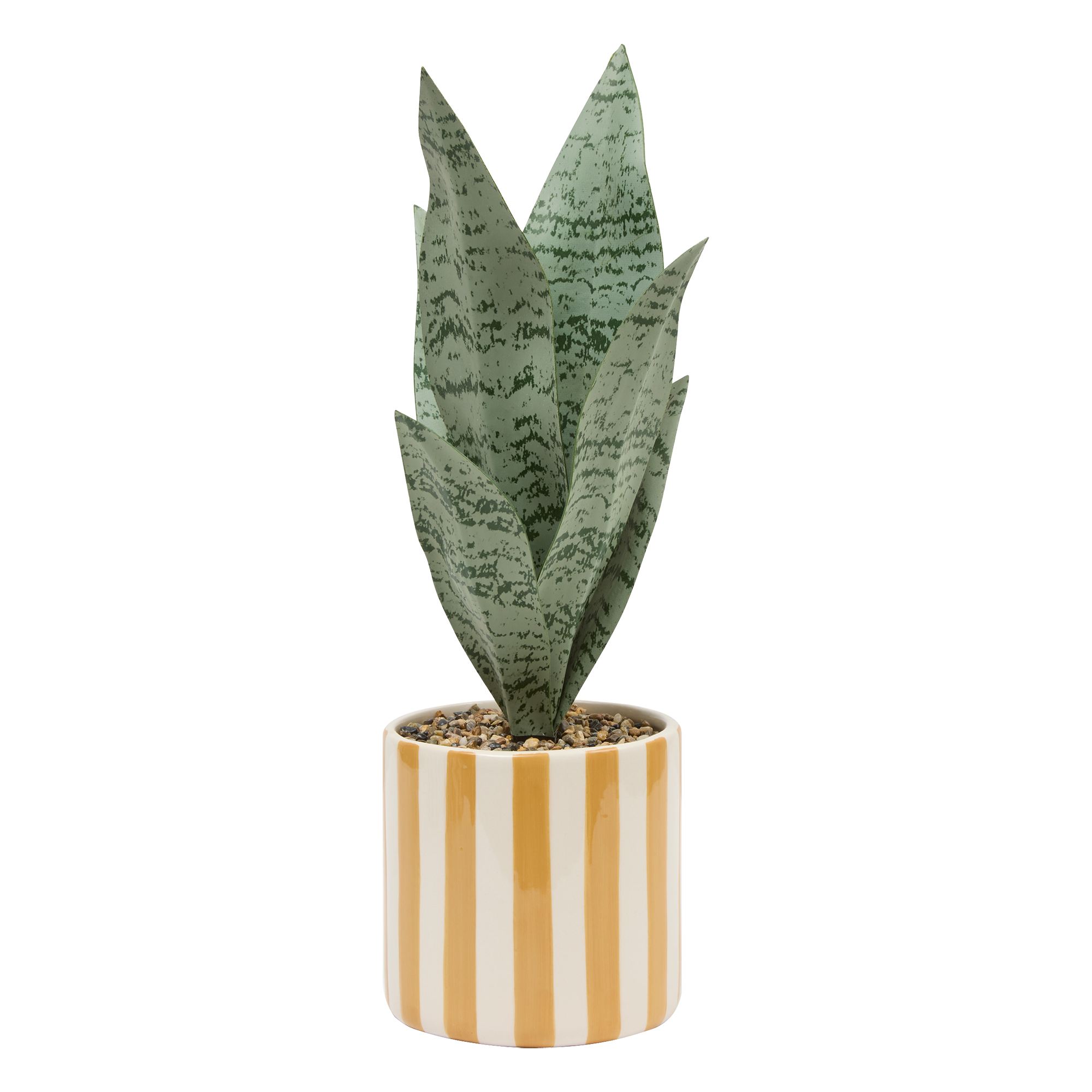 Plante verte pot céramique à rayures