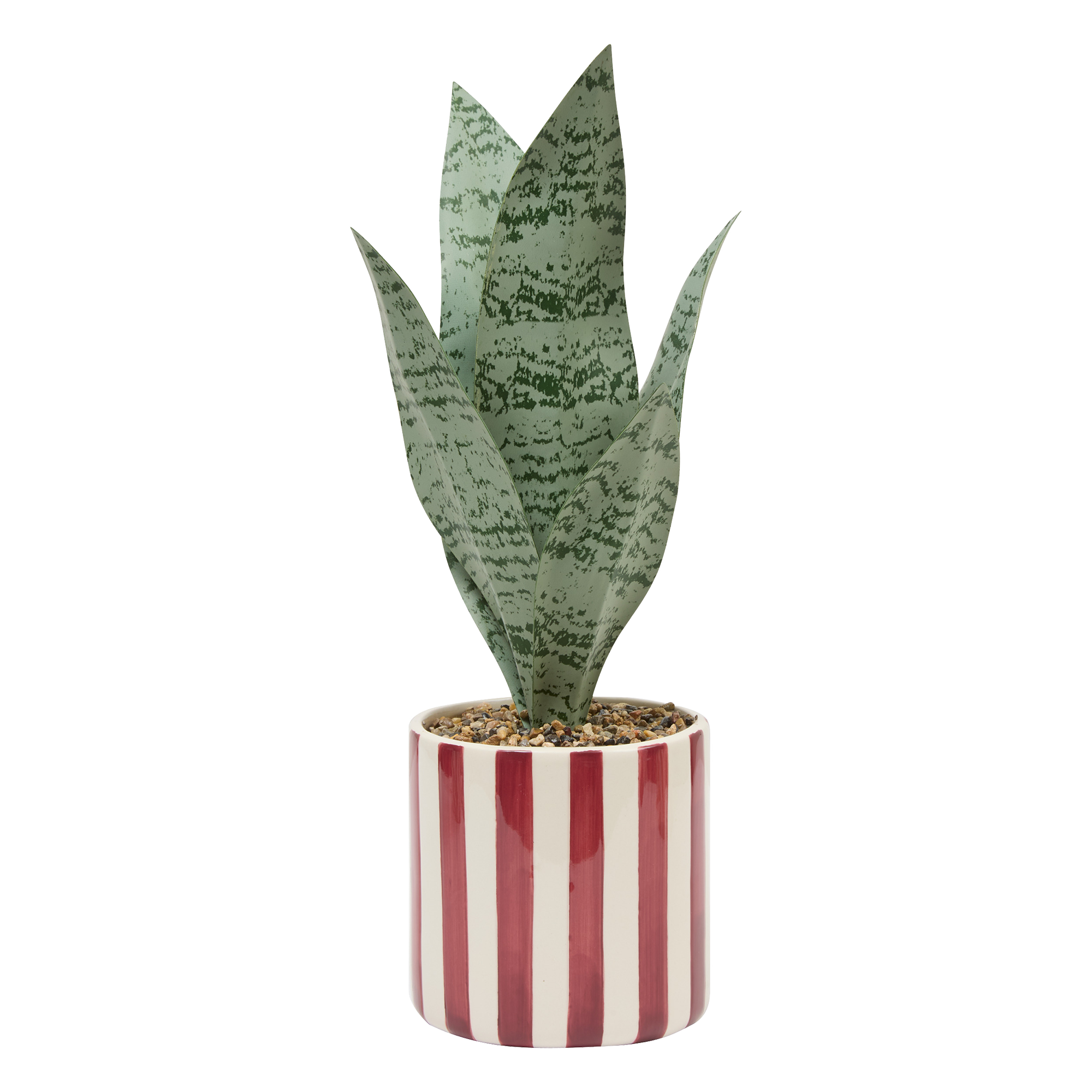 Plante verte pot céramique à rayures
