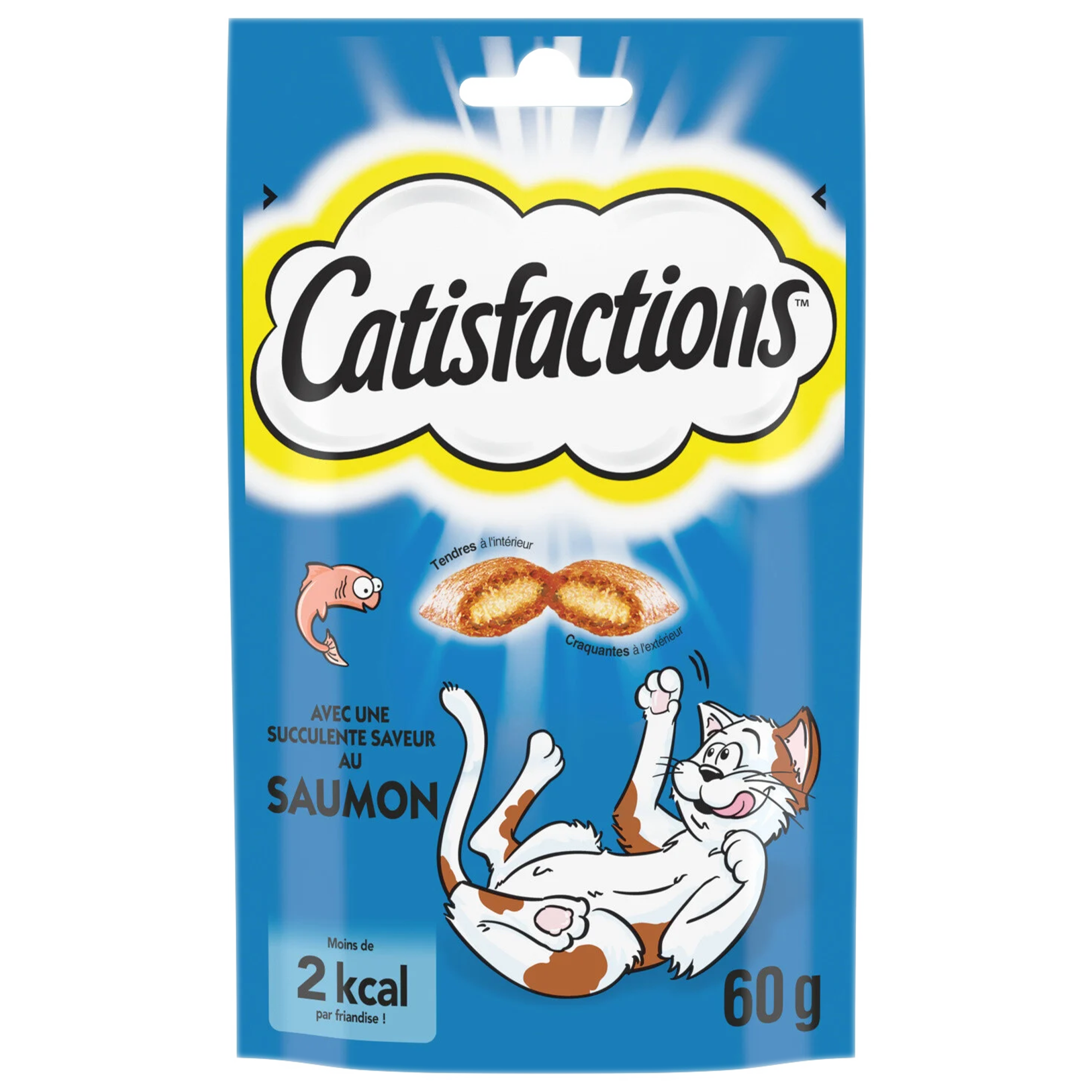 Friandise pour chat au saumon