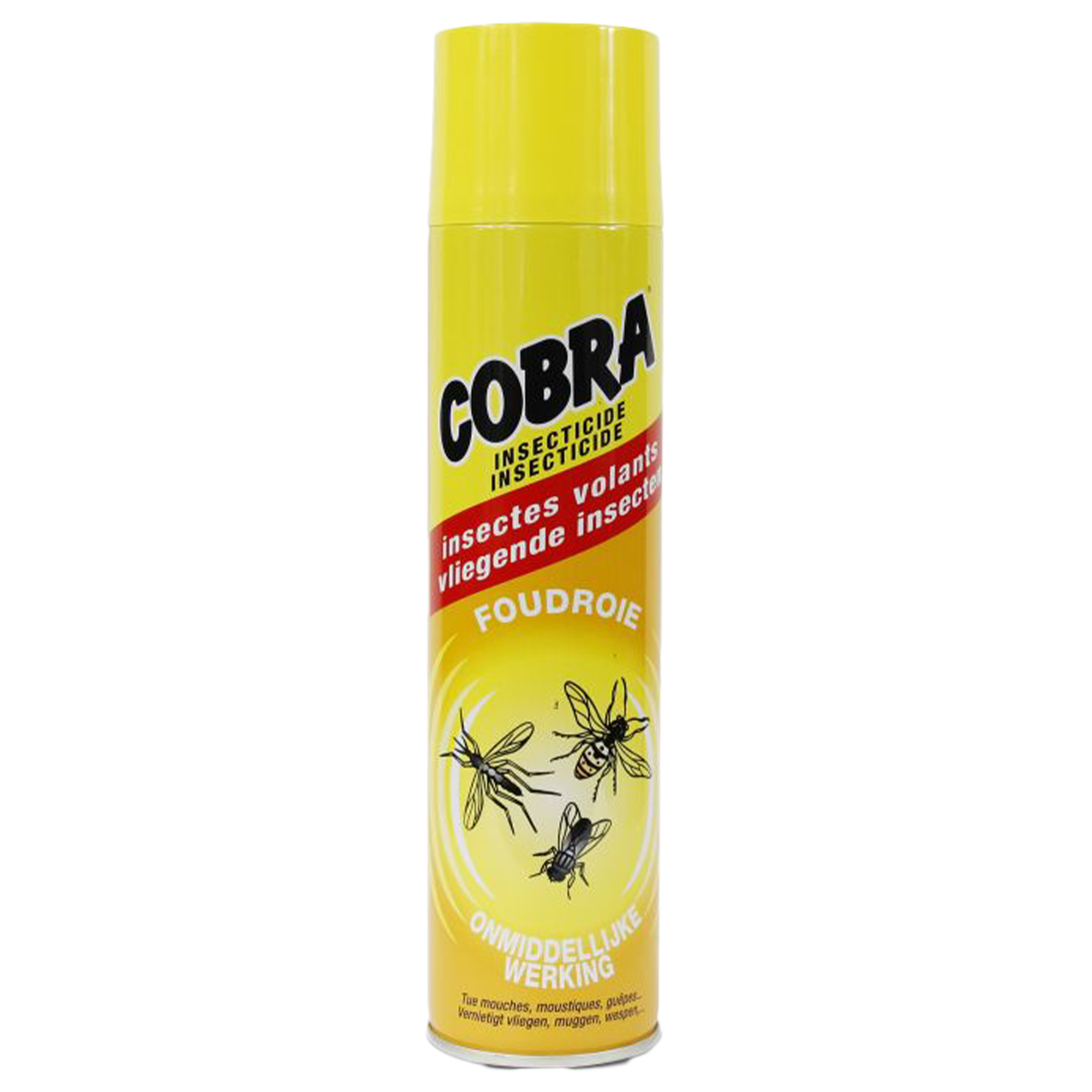 SPRAY REPULSIFE INSECTES VOLANTS