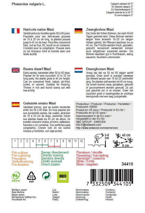 Semences de haricots nains maxi bio