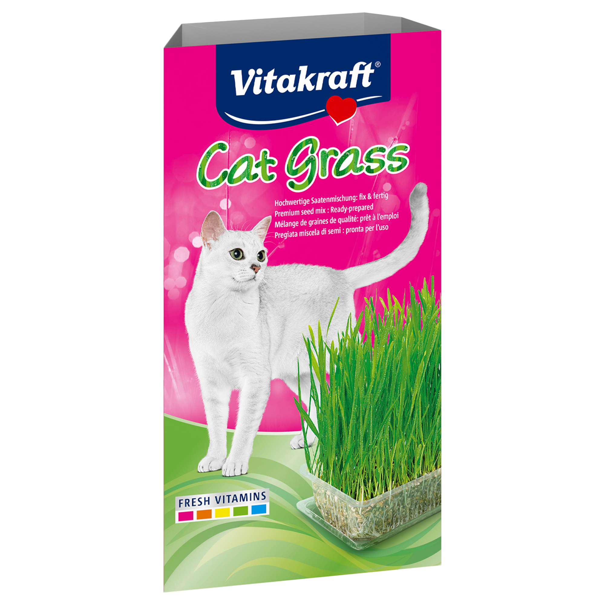 Herbe à chat