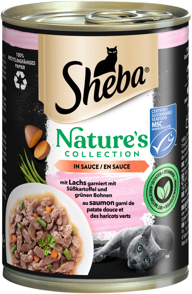 Pâté pour chat saumon, patate douce et haricots verts