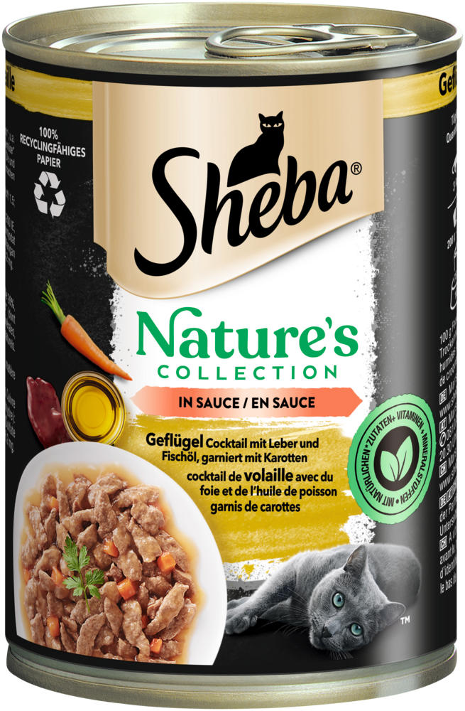 Pâté pour chat volaille et carottes