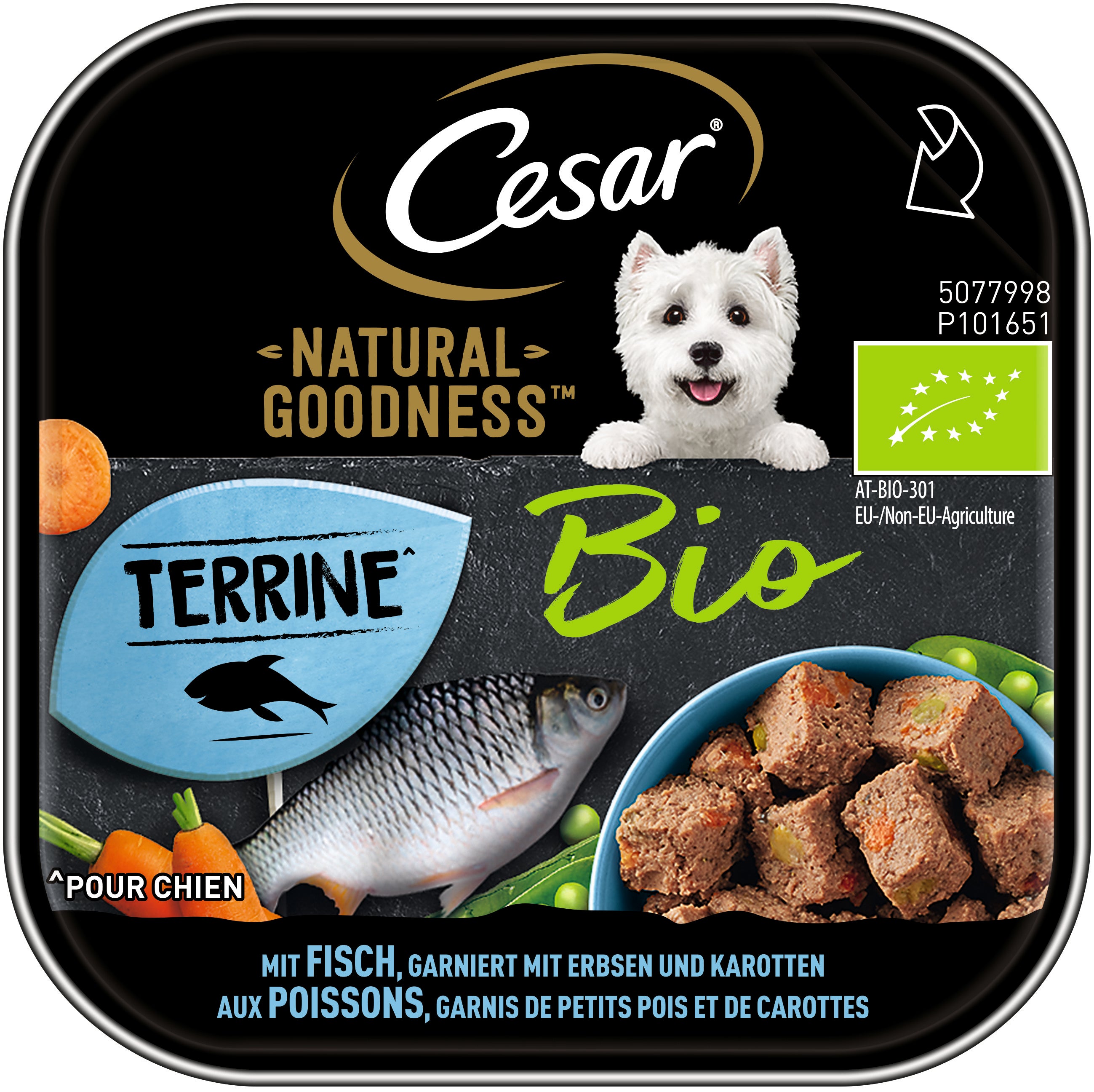 Terrine pour chien bio au poisson
