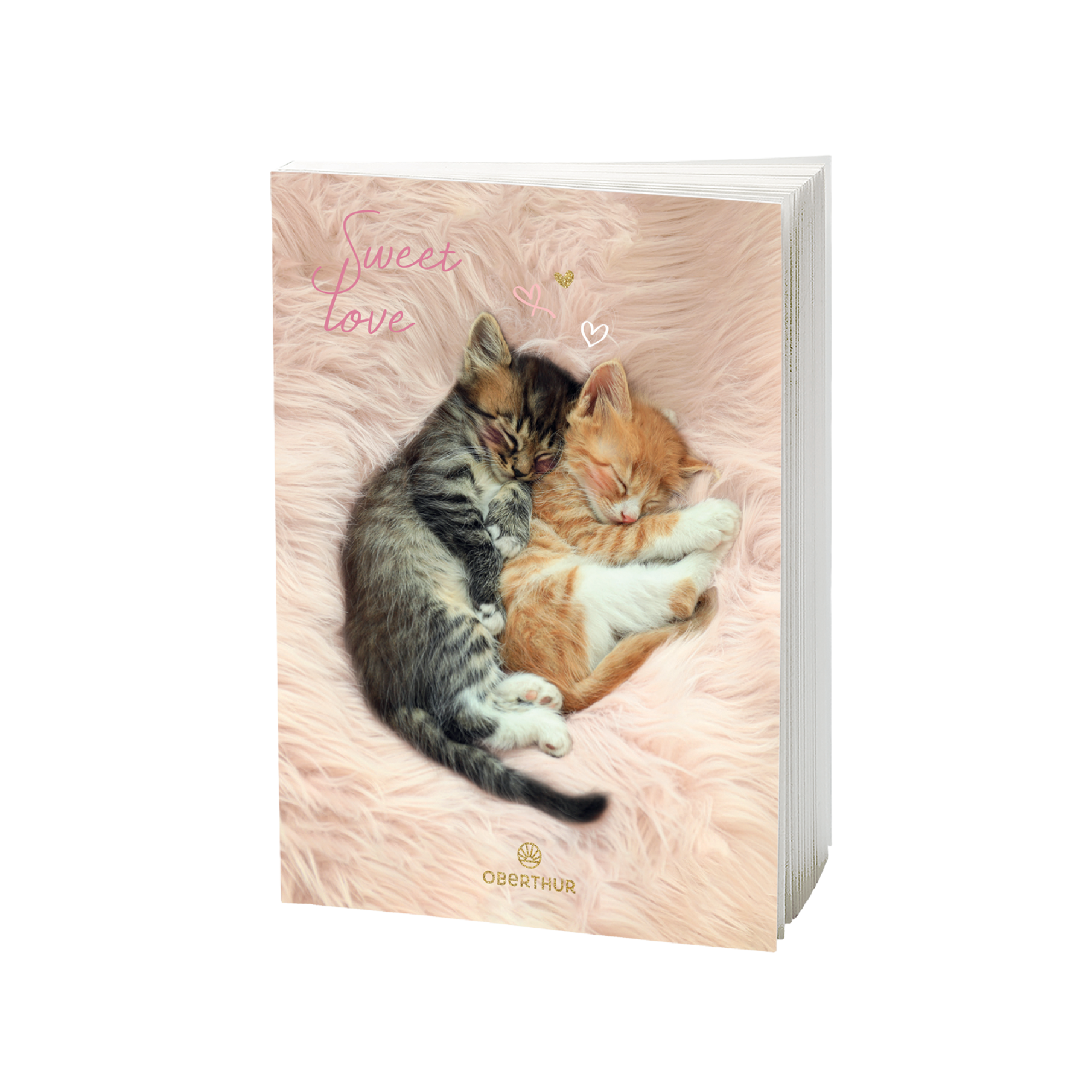 Agenda chaton 2025/2026