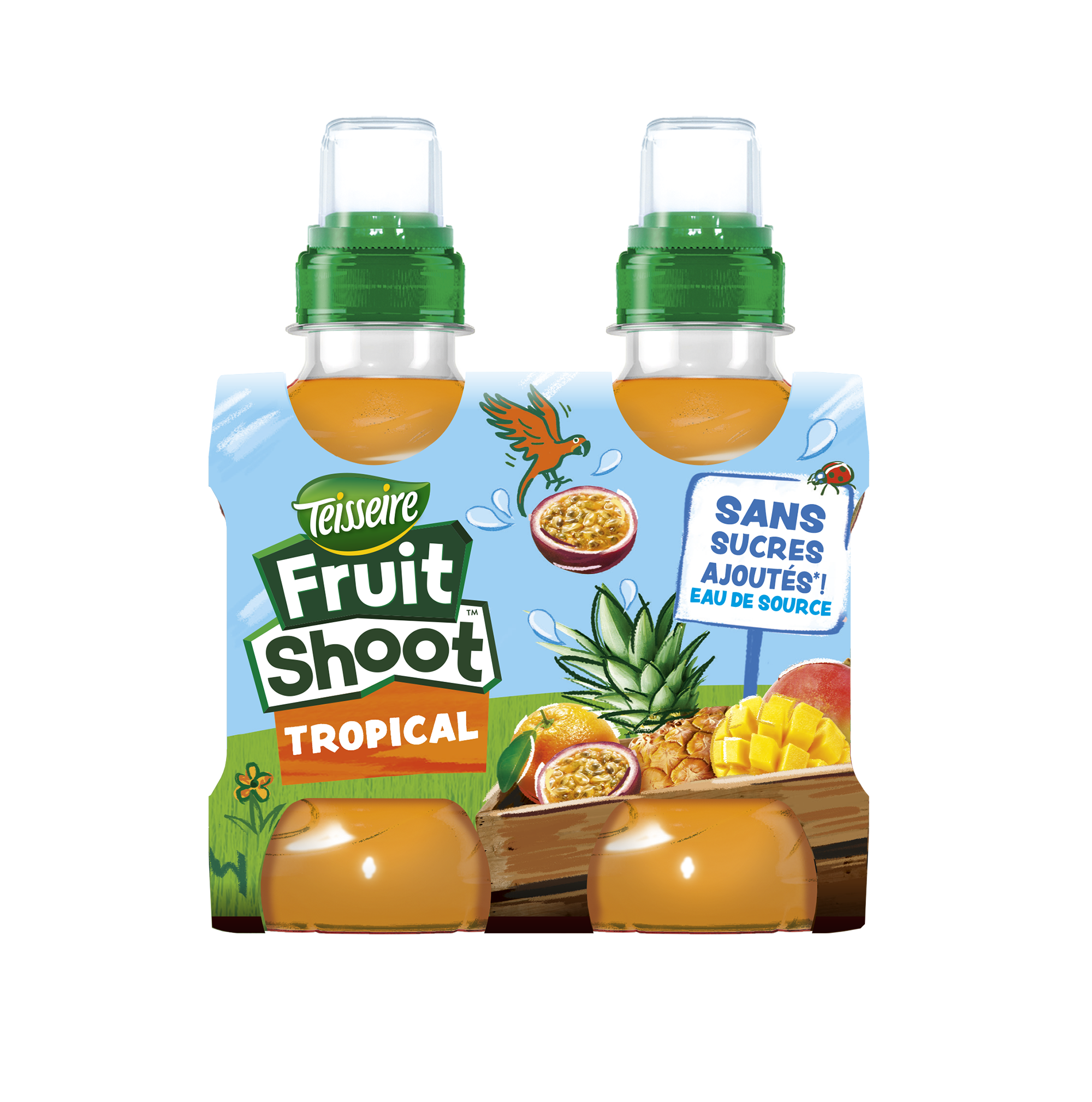 Lot de 4 bouteilles Fruitshoot tropical
