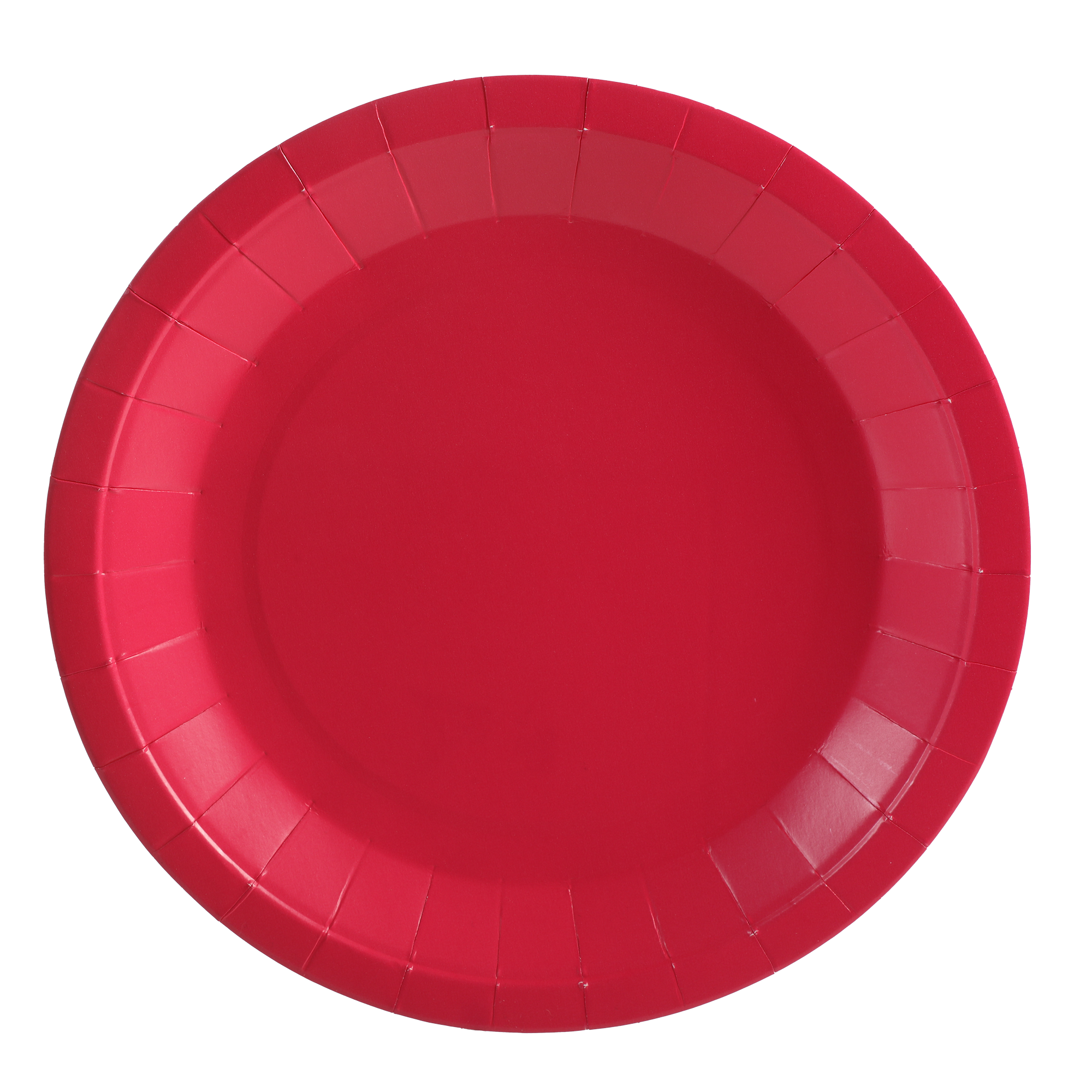 10 assiettes en carton Fuchsia