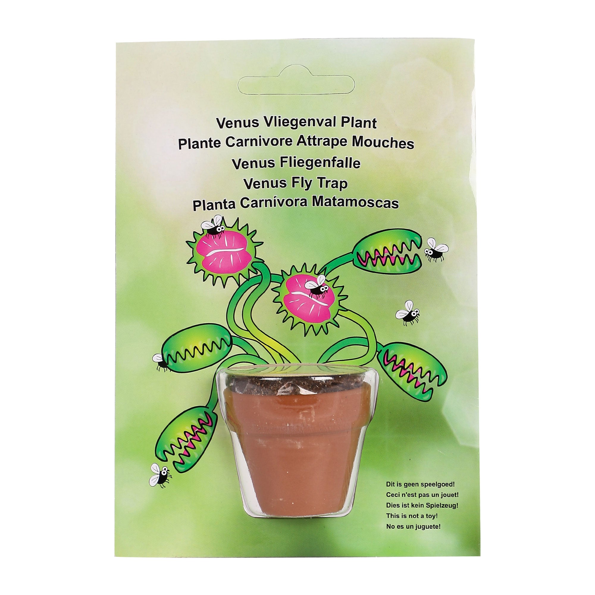 Mini plante carnivore