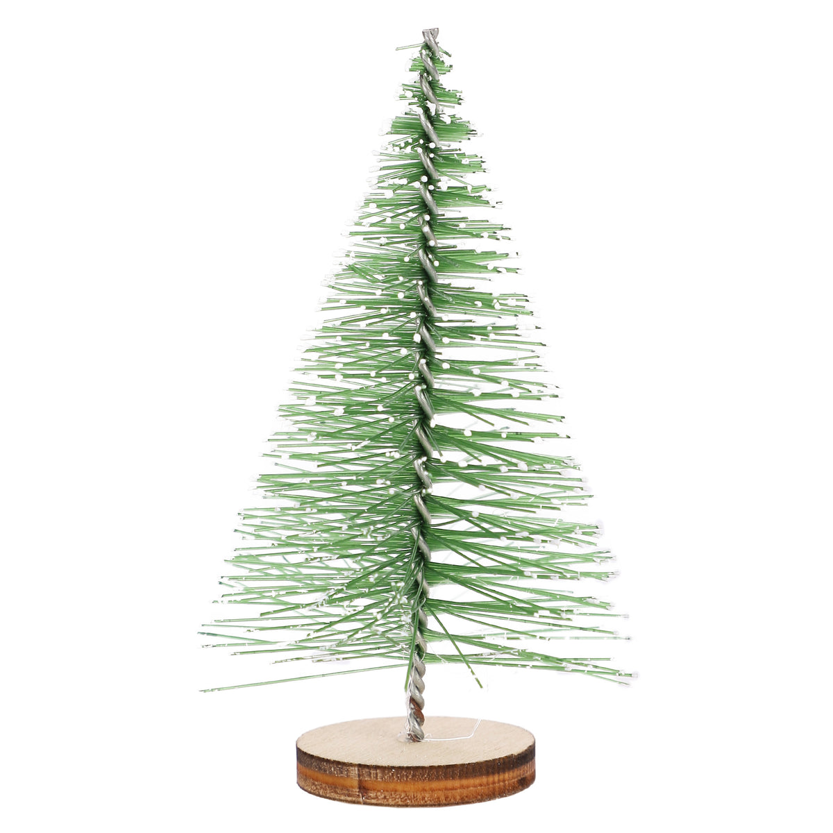 Sachet de 6 petits sapins sur pied
