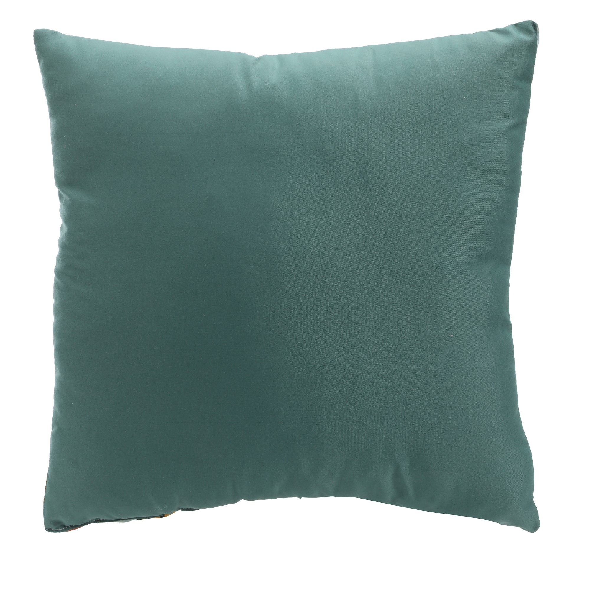 Coussin phosphorescent 38x38cm  - Vert