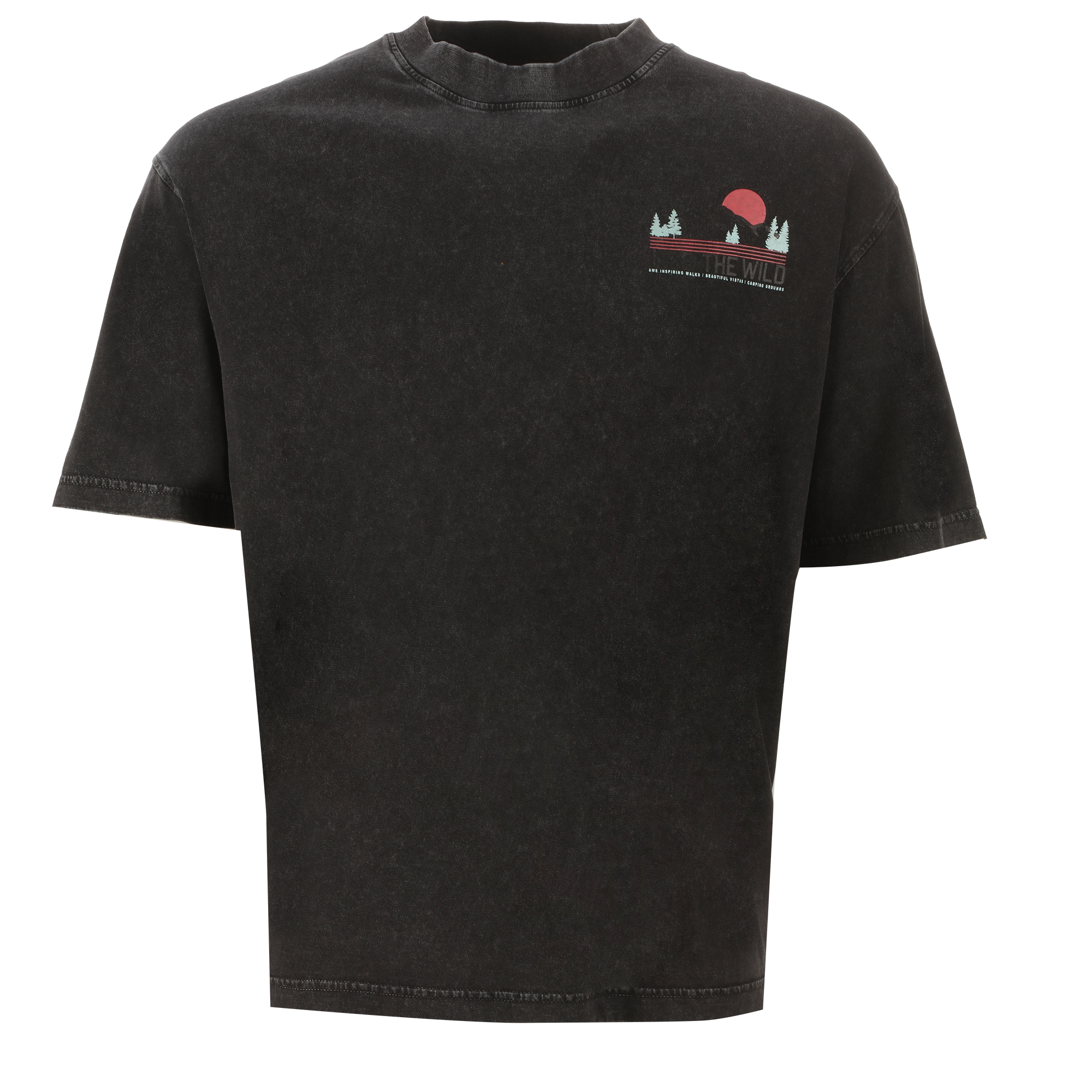 Tee-shirt manches courtes imprimé  - Noir