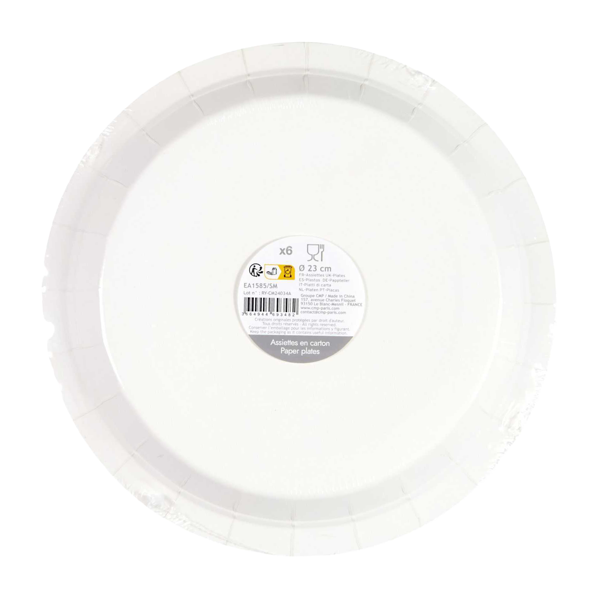 6 assiettes en carton lion