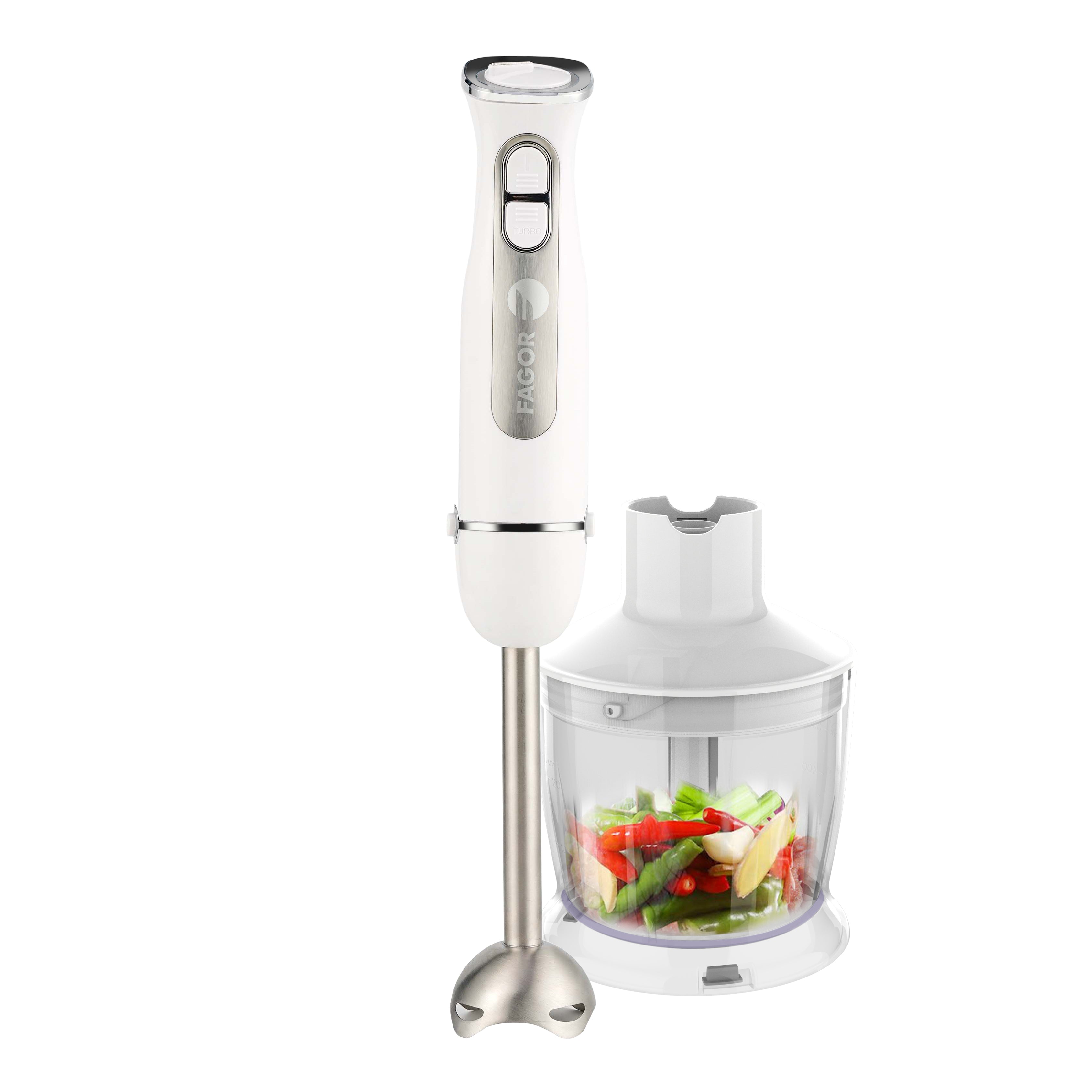 Mixeur plongeant +  accessoires