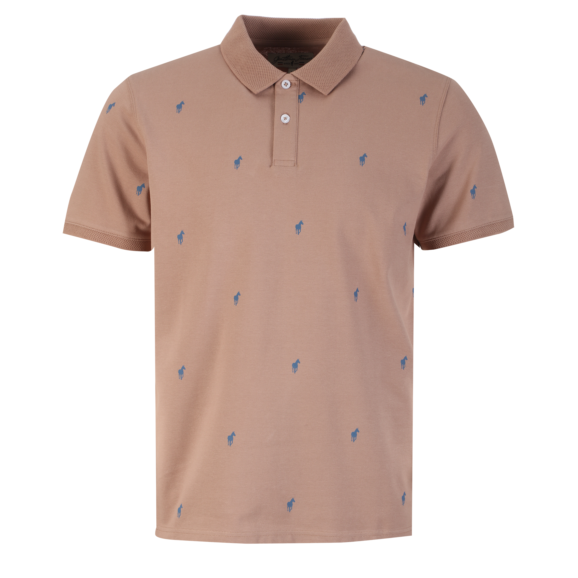 Polo brodé  - Marron