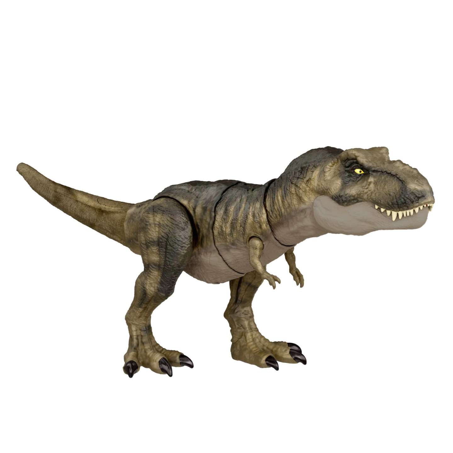 Tyrannosaurus Rex