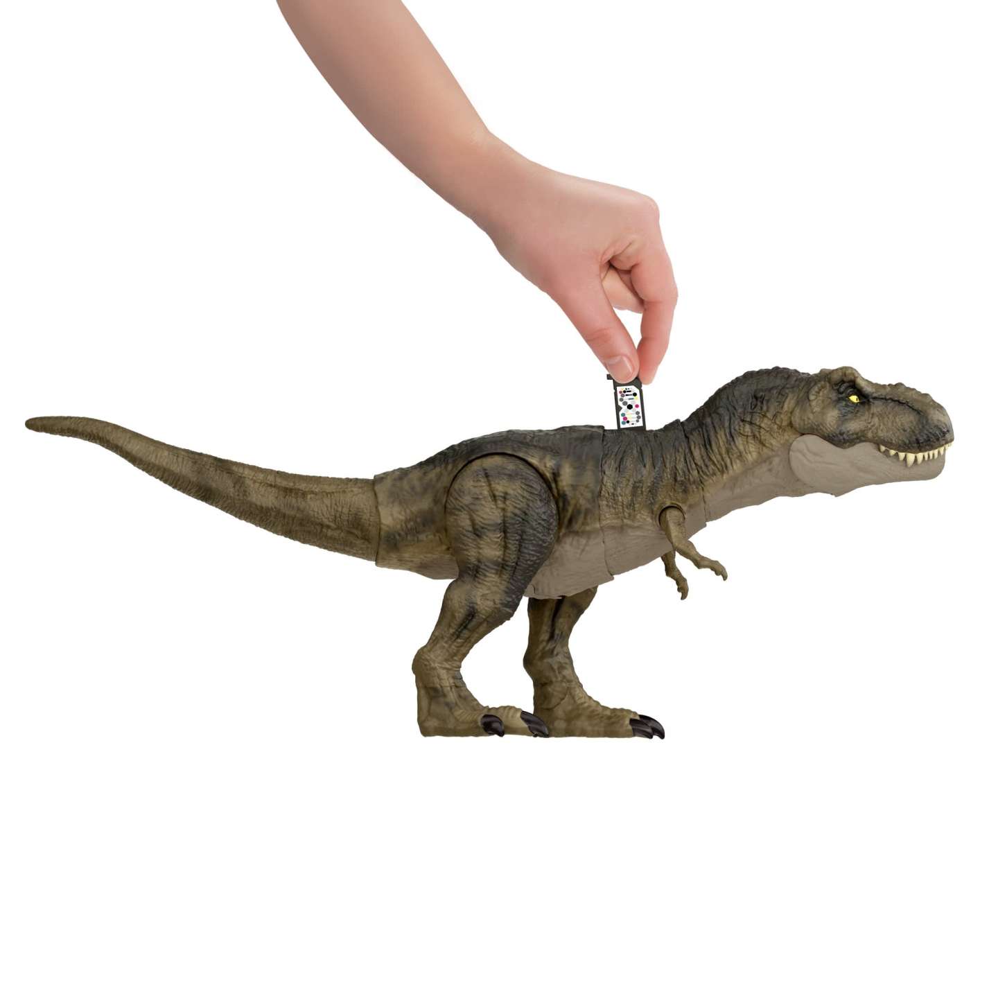 Tyrannosaurus Rex