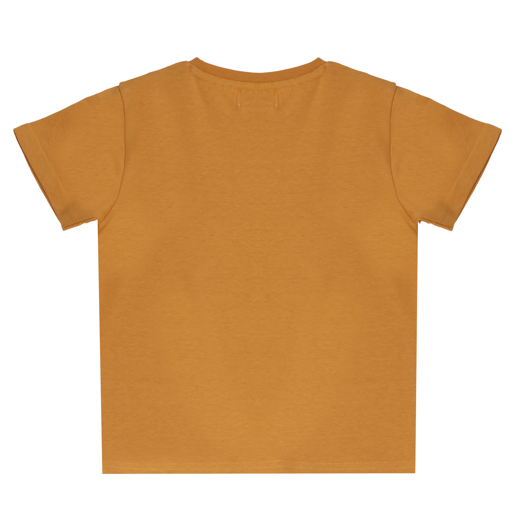 Lot de 2 tee-shirts manches courtes avec animations 3/12 ans - Jaune