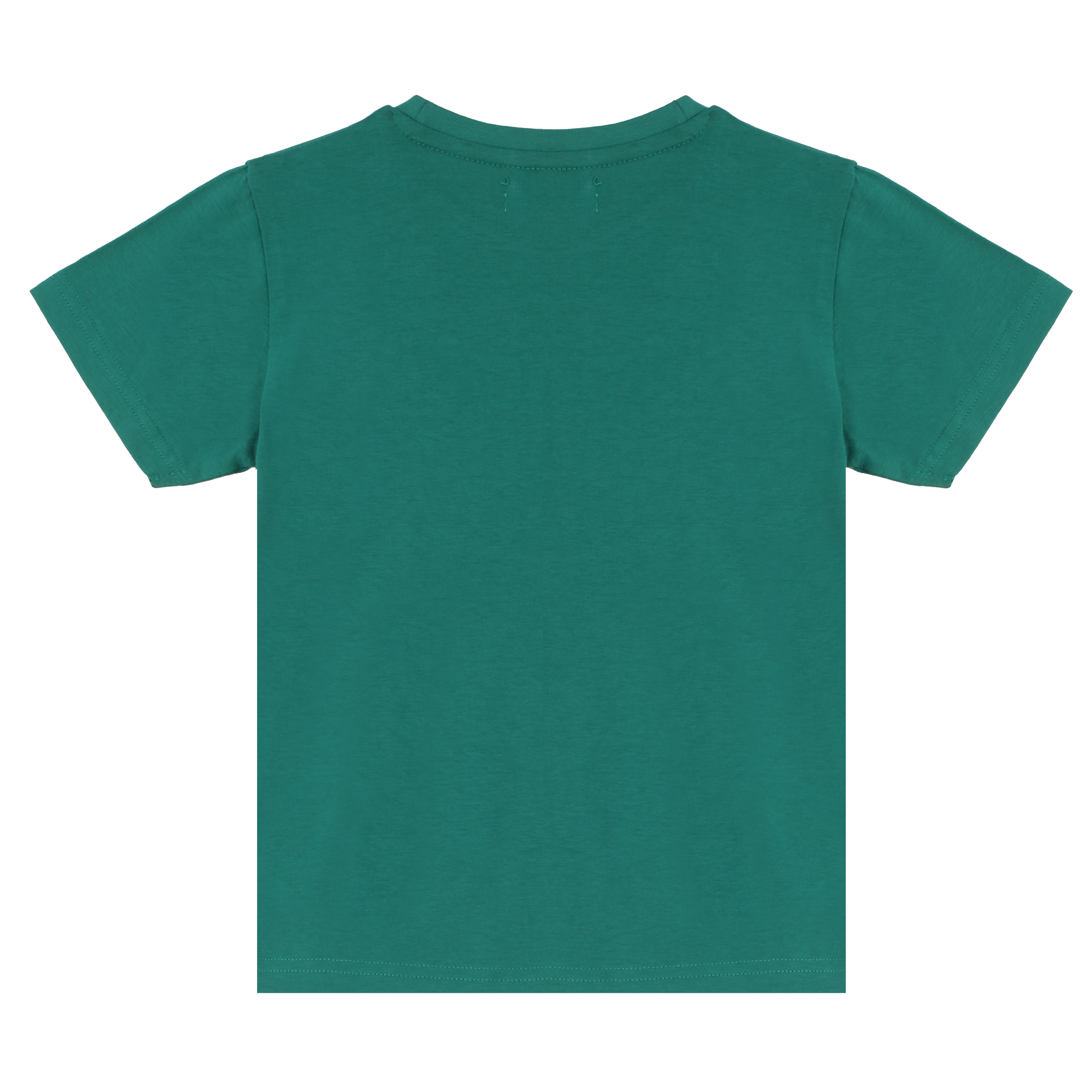 Lot de 2 tee-shirts manches courtes avec animations 3/12 ans - Vert