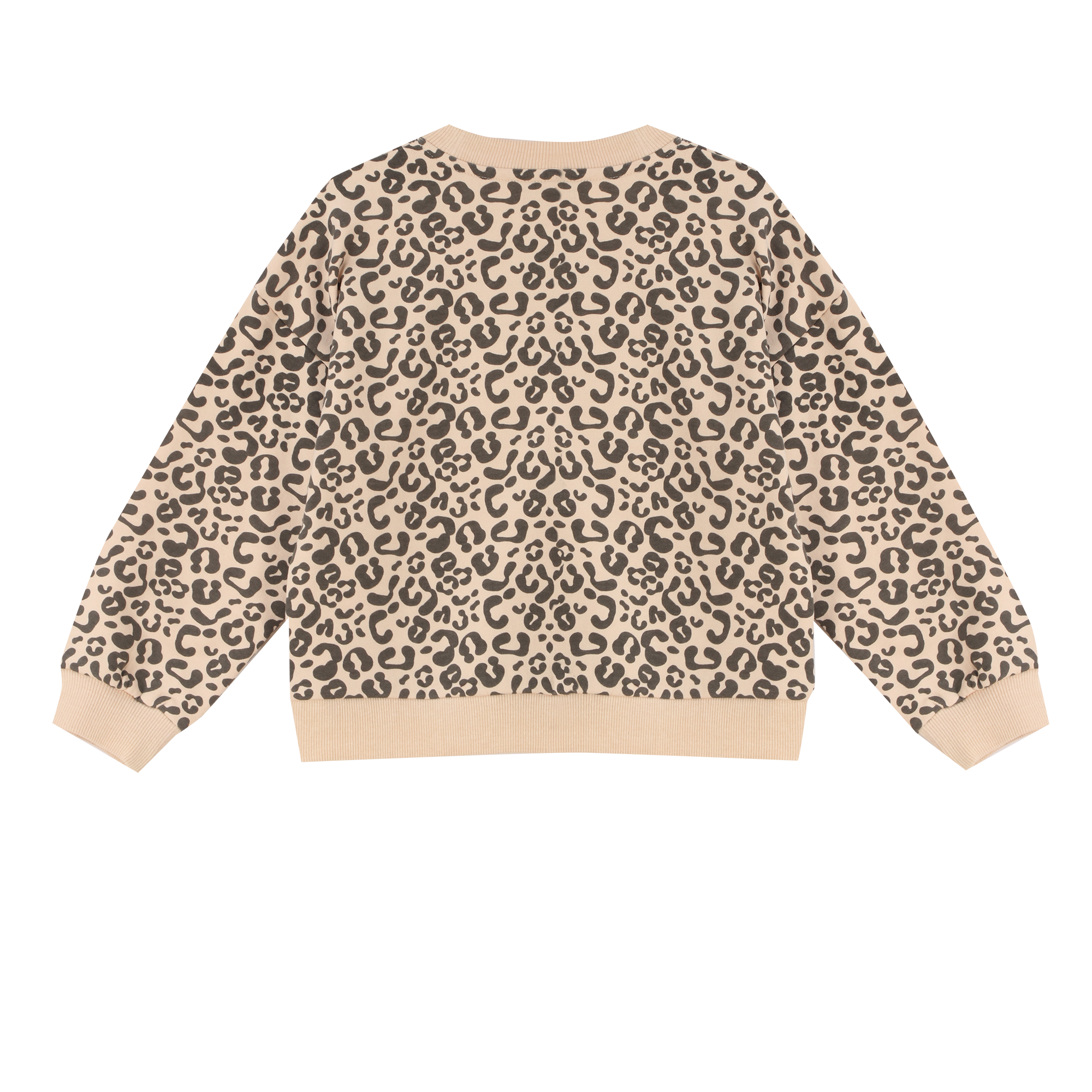 Sweat col rond imprimé 3/12 ans - Beige