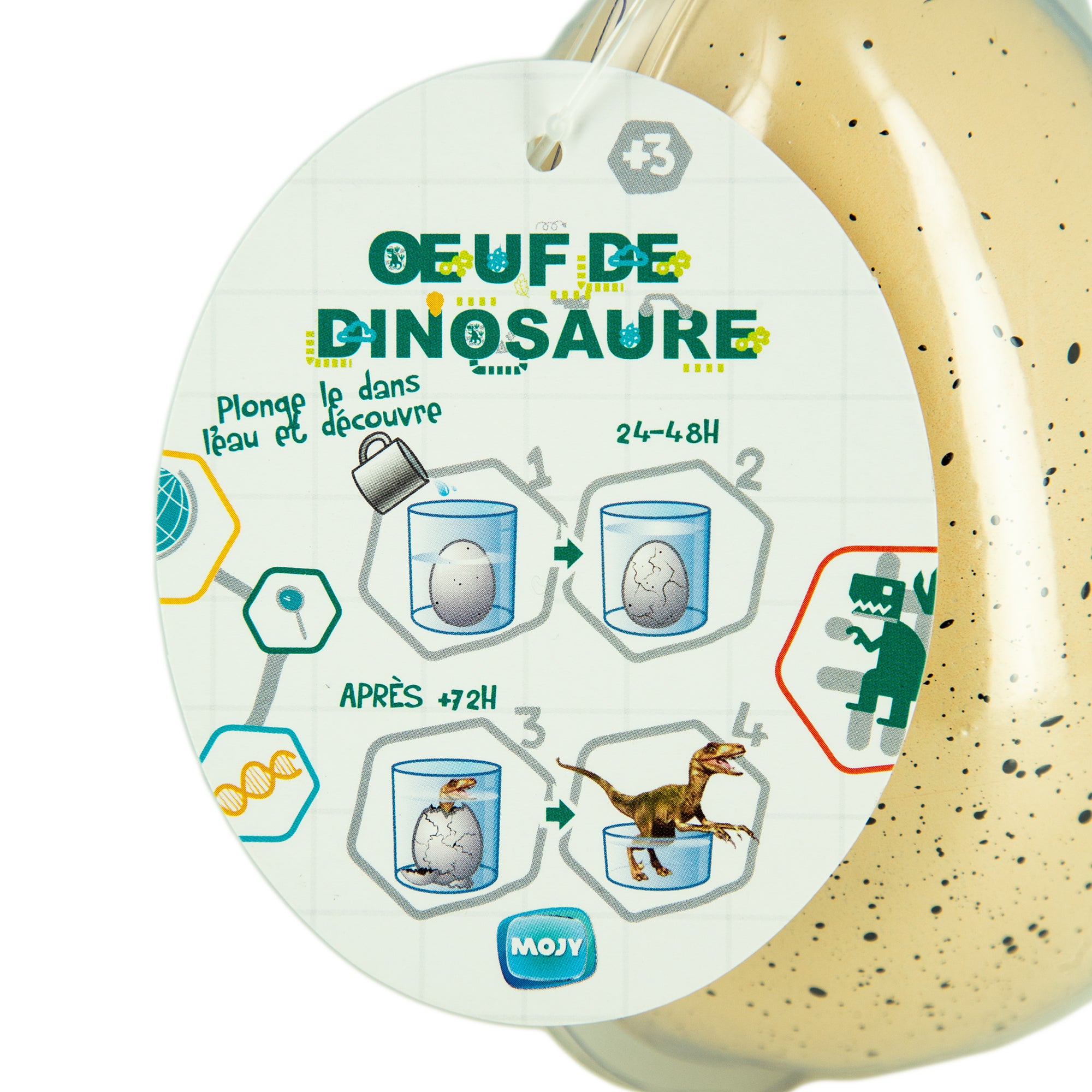 Œuf de dinosaure
