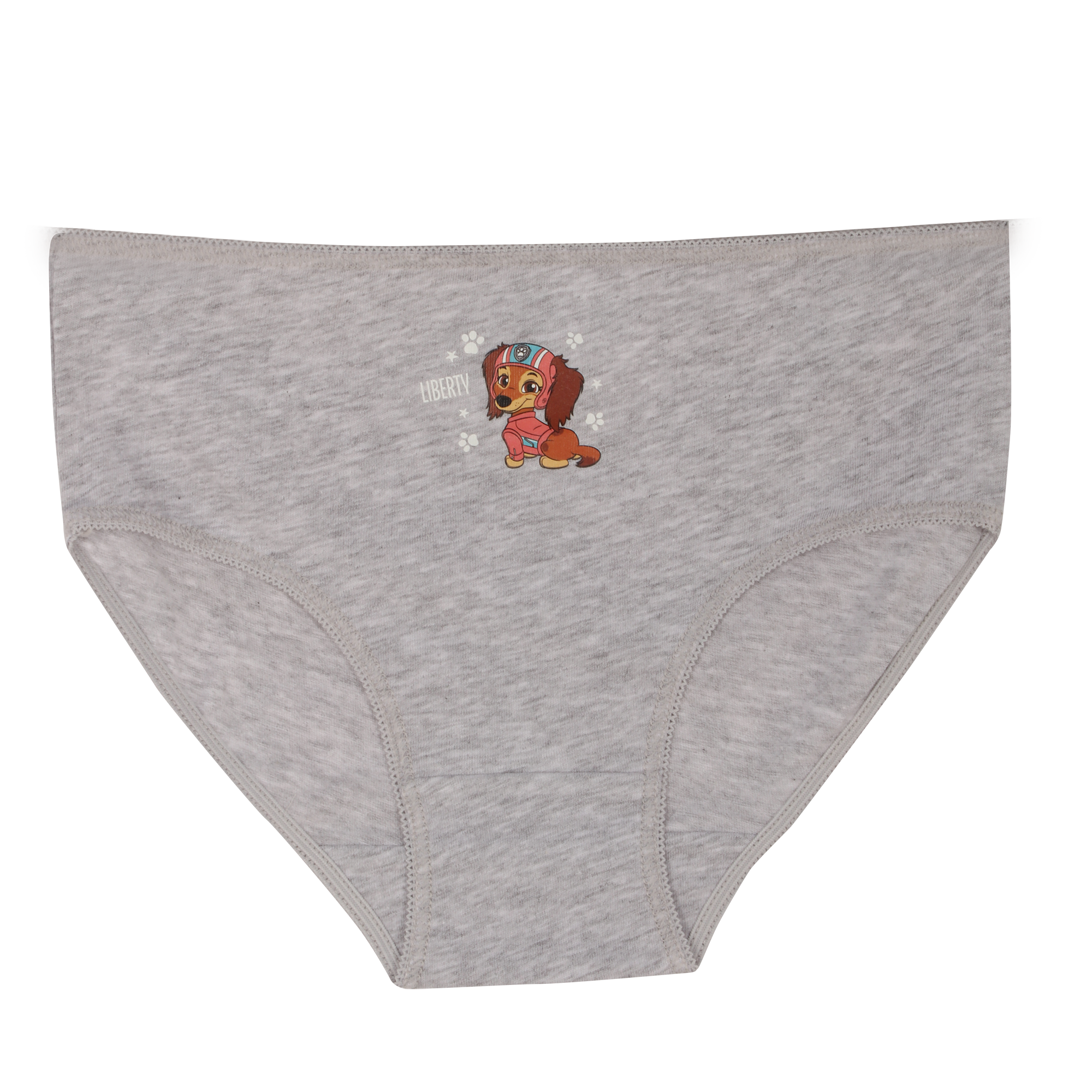 Lot de 6 culottes en coton licence 4/10 ans - Vert