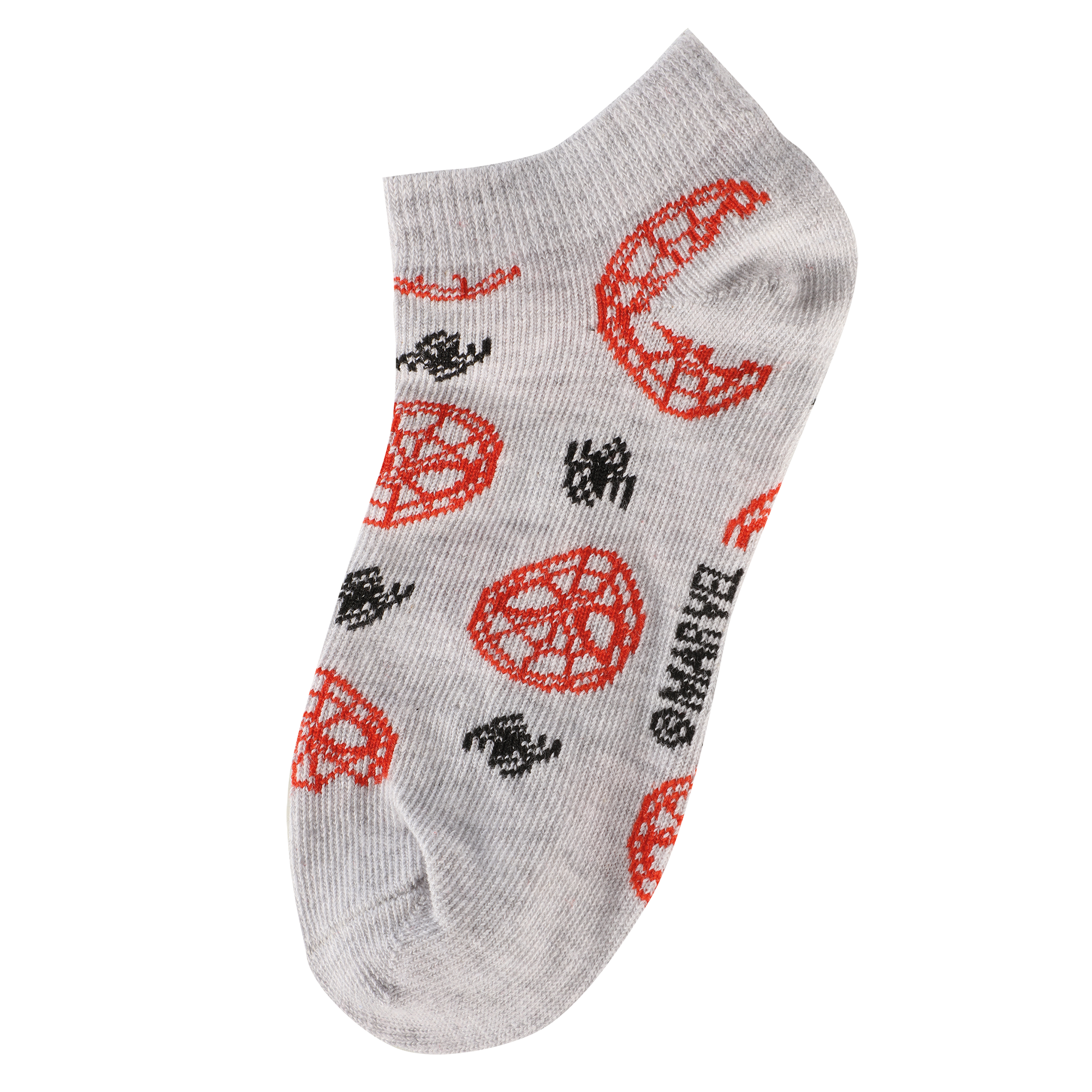 Lot de 6 paires de chaussettes licence 27/38
