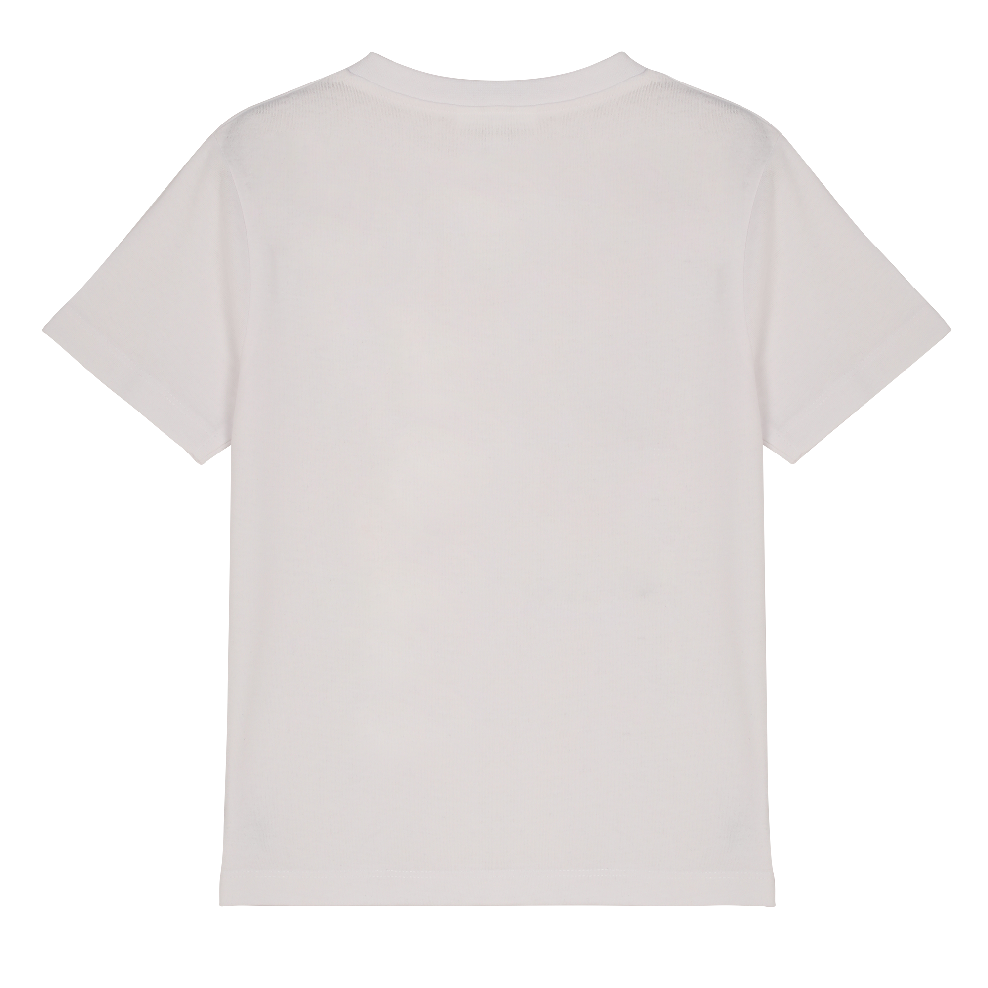 Tee-shirt manches courtes 6/12 ans - Gris