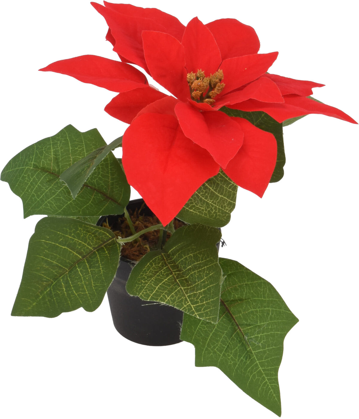Fleur de Noël poinsettia 19 cm