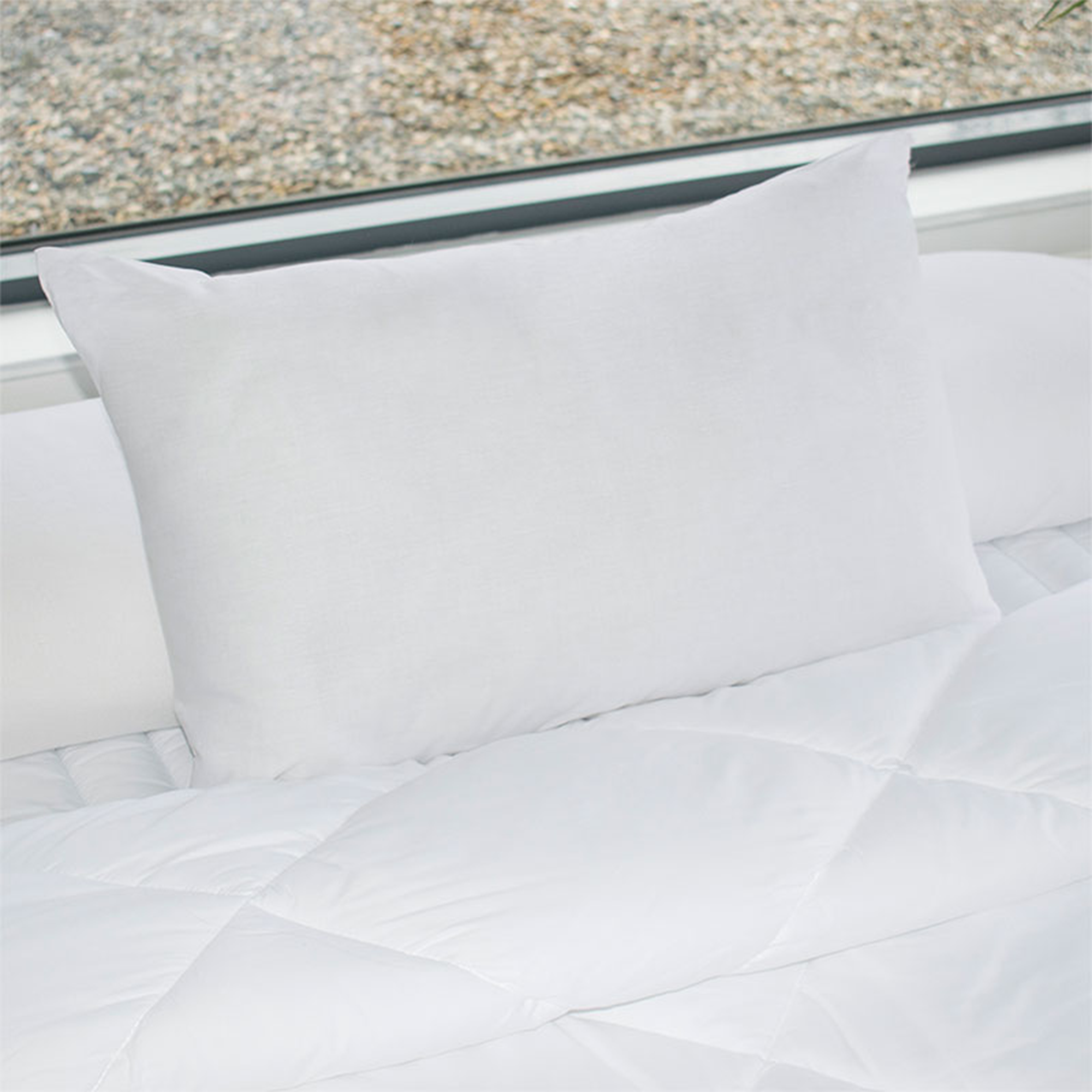 Lot de 2 oreillers coton greencare bleu calin 50x70 cm