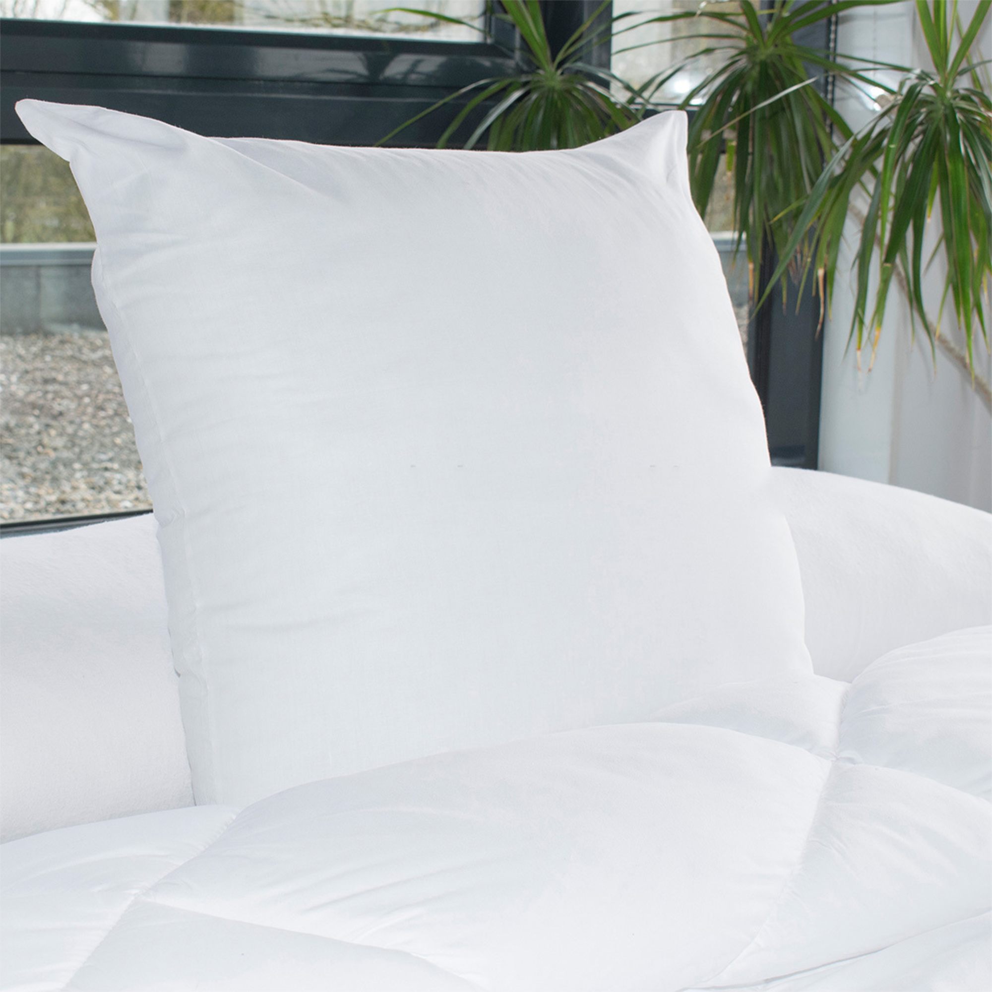 Lot de 2 oreillers coton greencare bleu calin 60x60 cm
