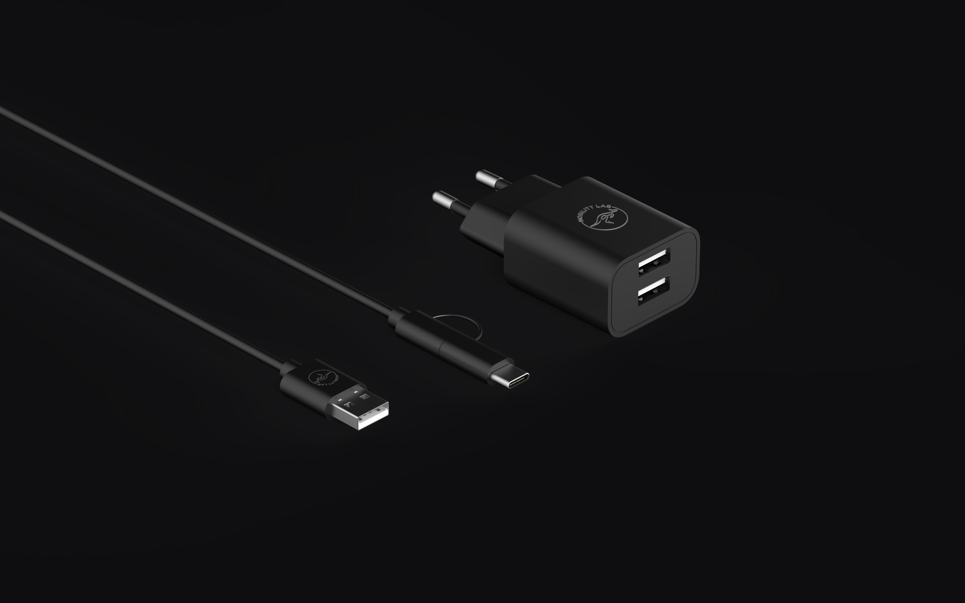 Chargeur secteur + 2 câble de charge USB et USB C