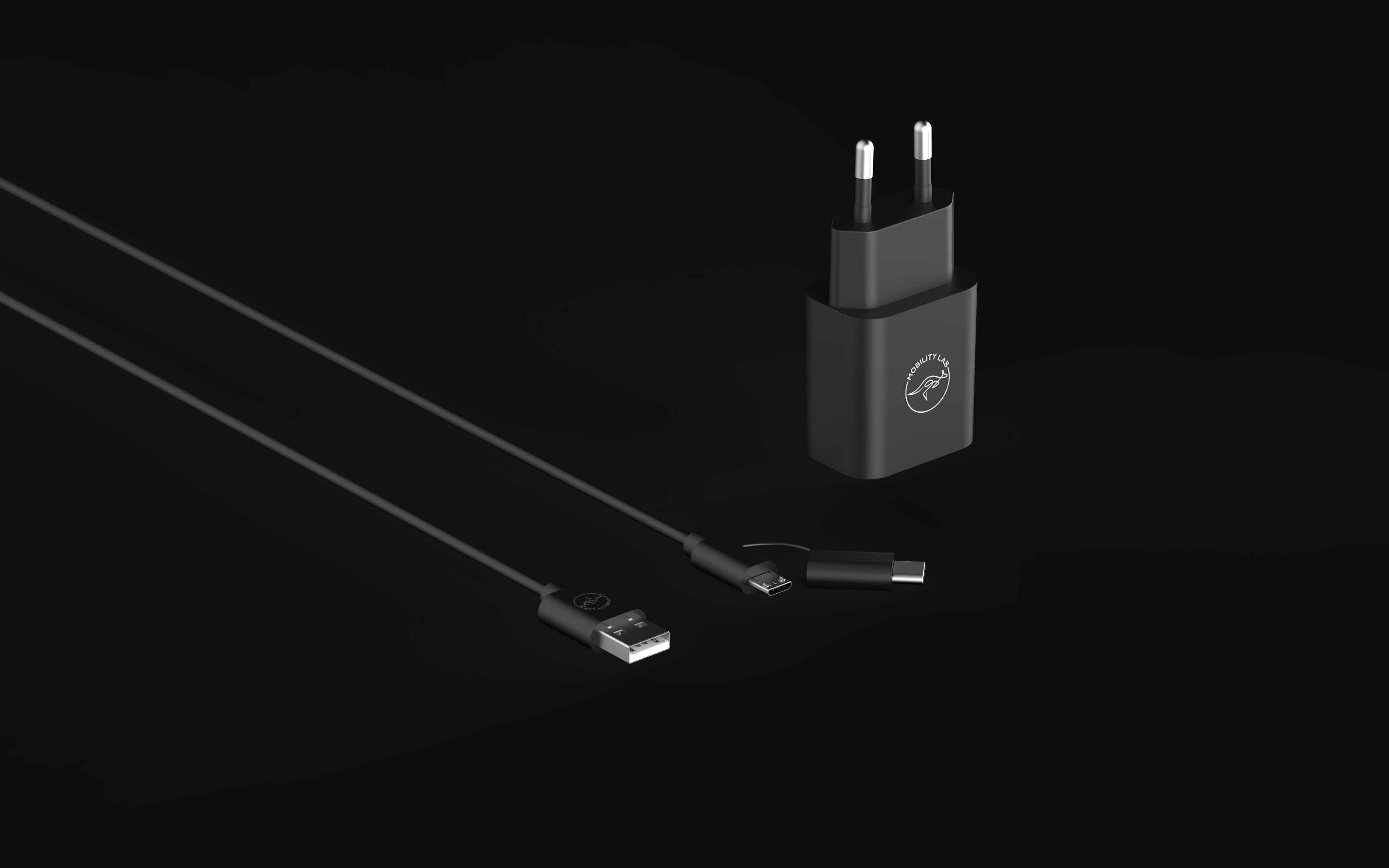 Chargeur secteur + 2 câble de charge USB et USB C