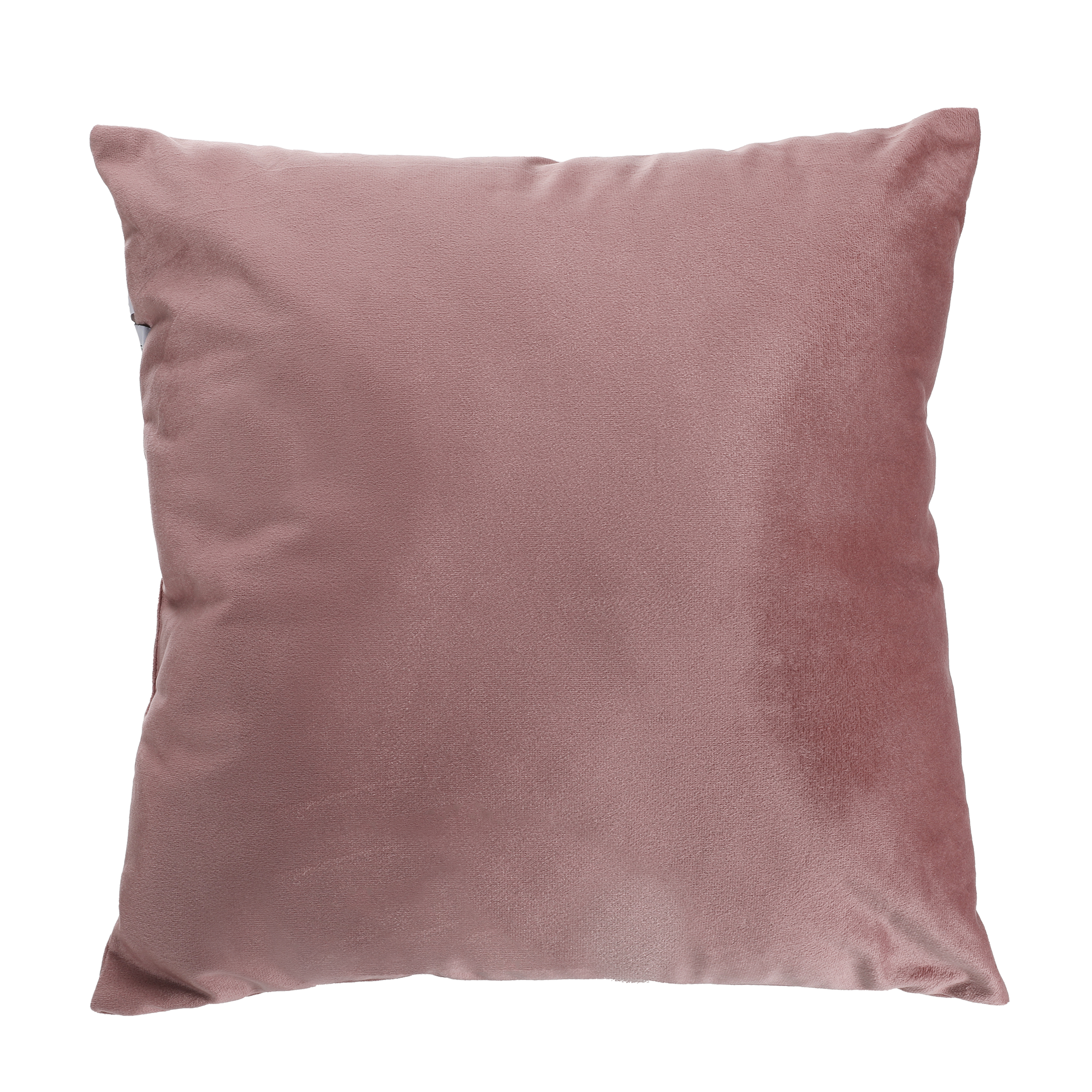 Coussin en velours