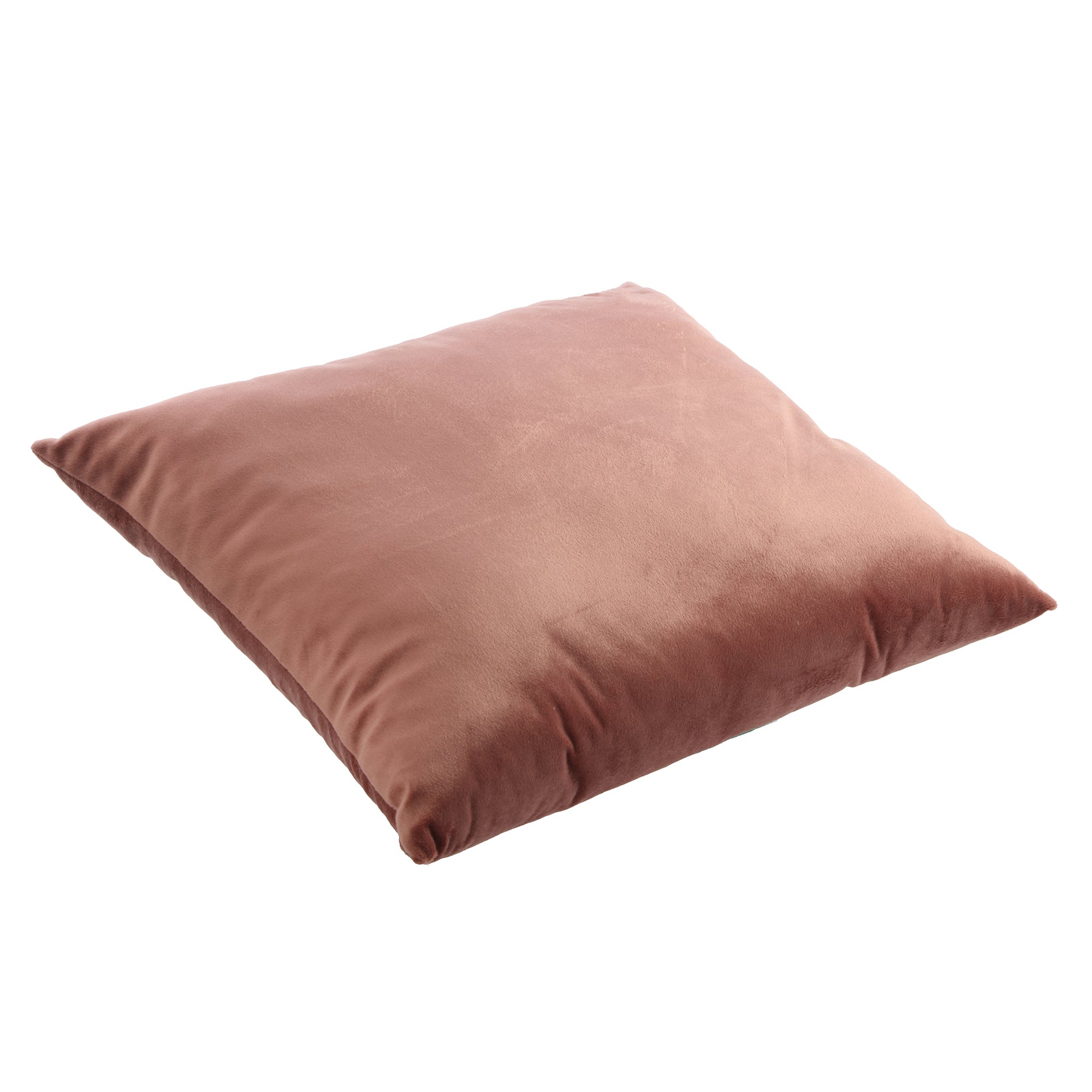 Coussin en velours