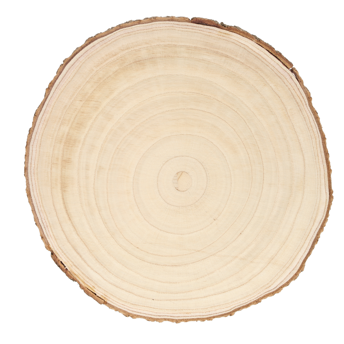 Dessous d'assiette rondin de bois