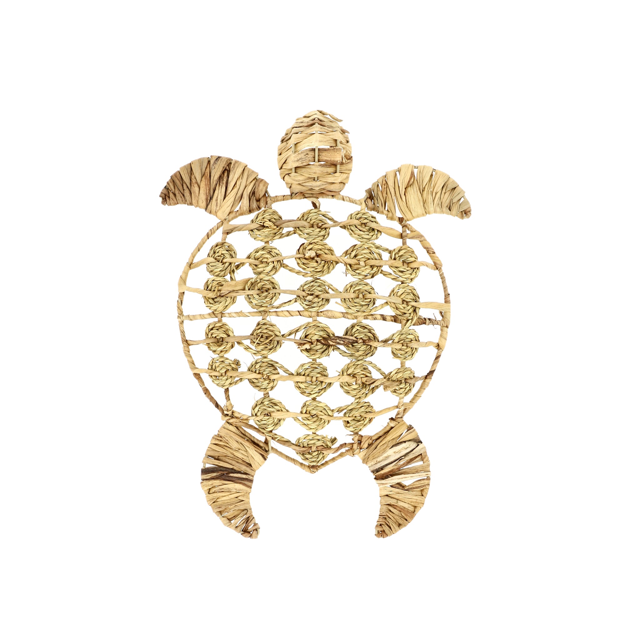 Tortue en jacinthe d'eau