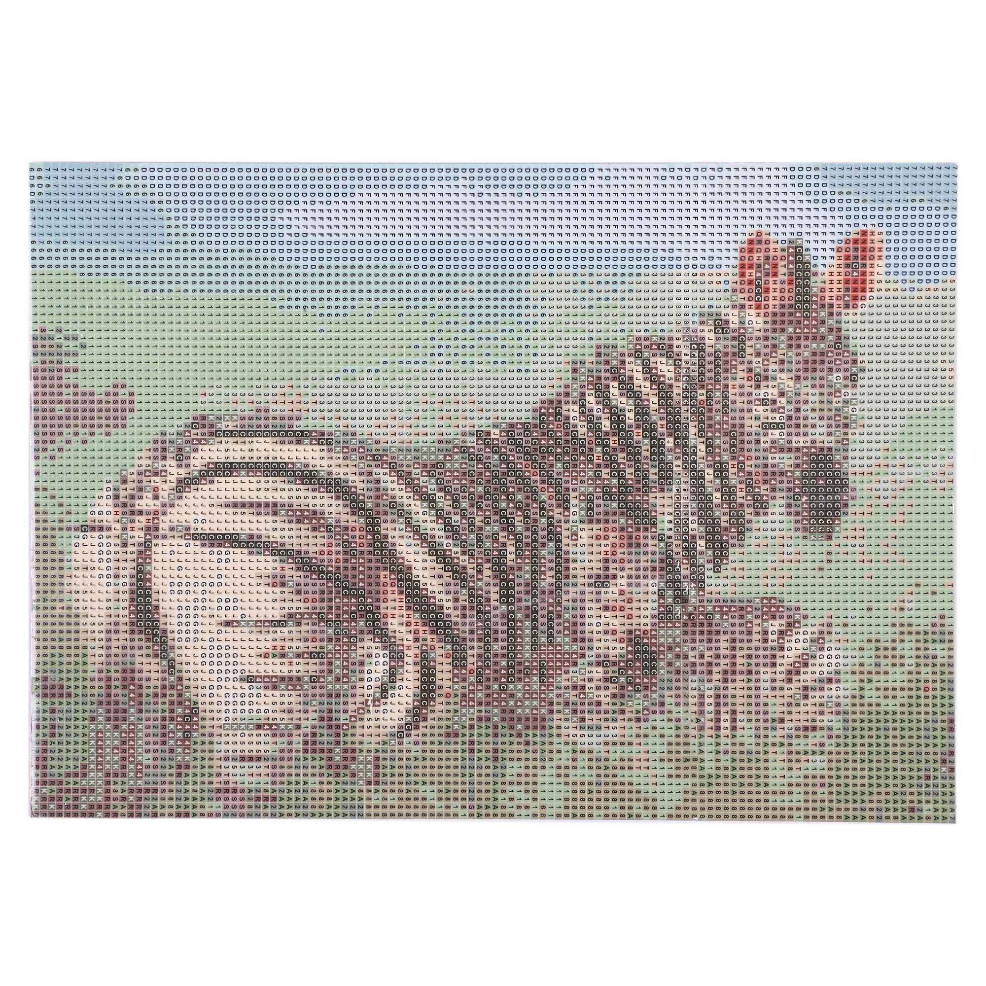 Kit de broderie diamant animaux  - Noir
