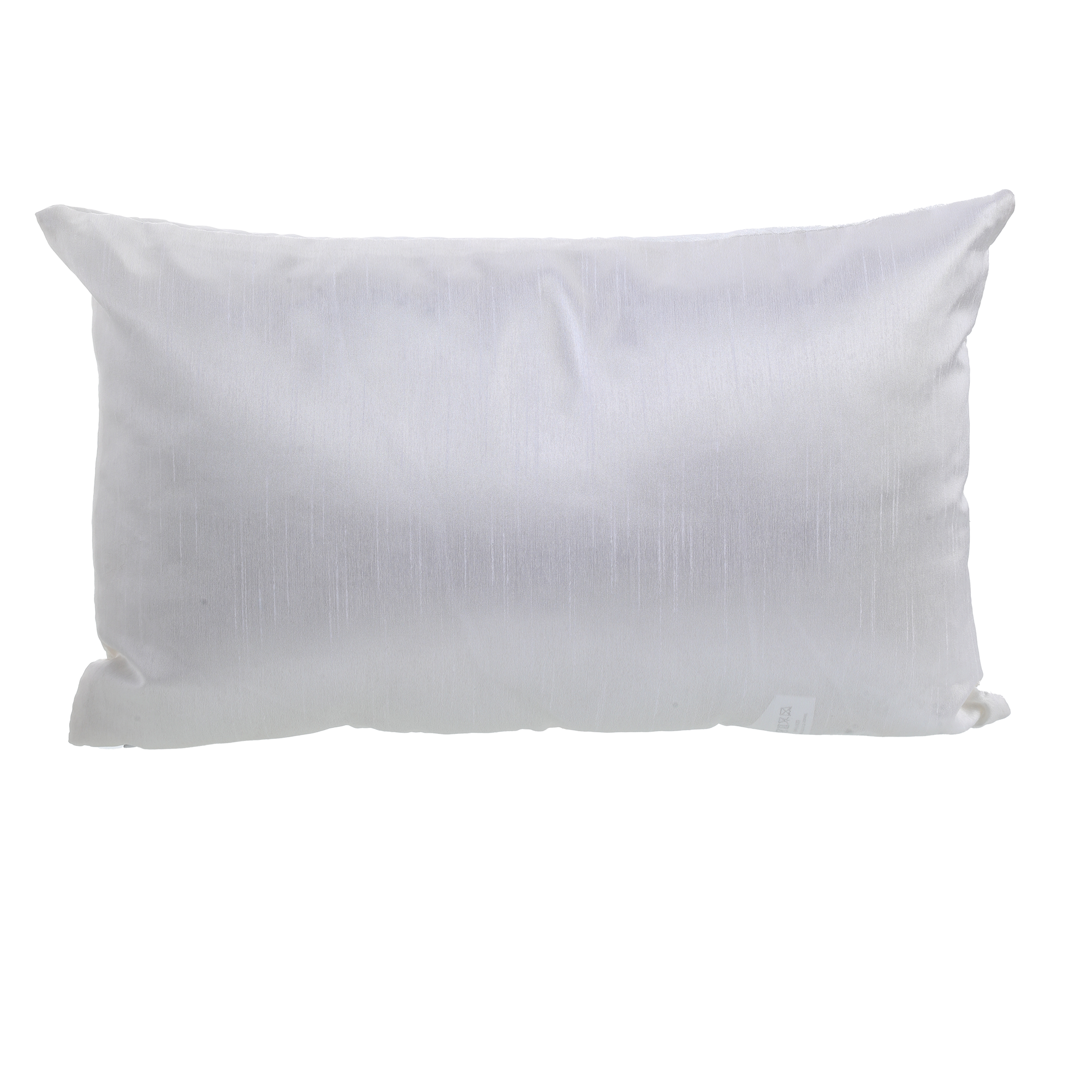 Coussin soyeux 30x50cm - Beige