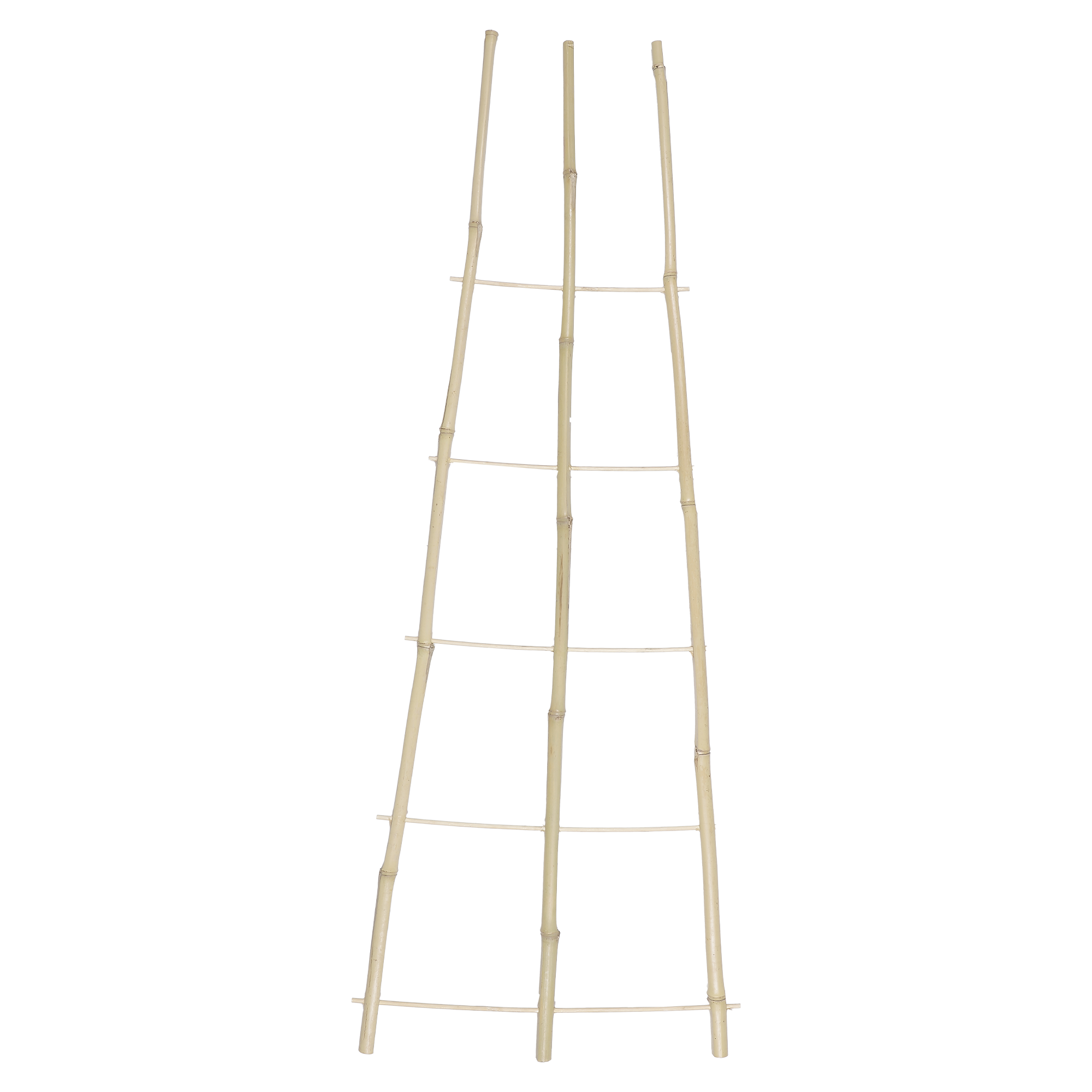 Support d'escalade de jardin en bambou 90 cm