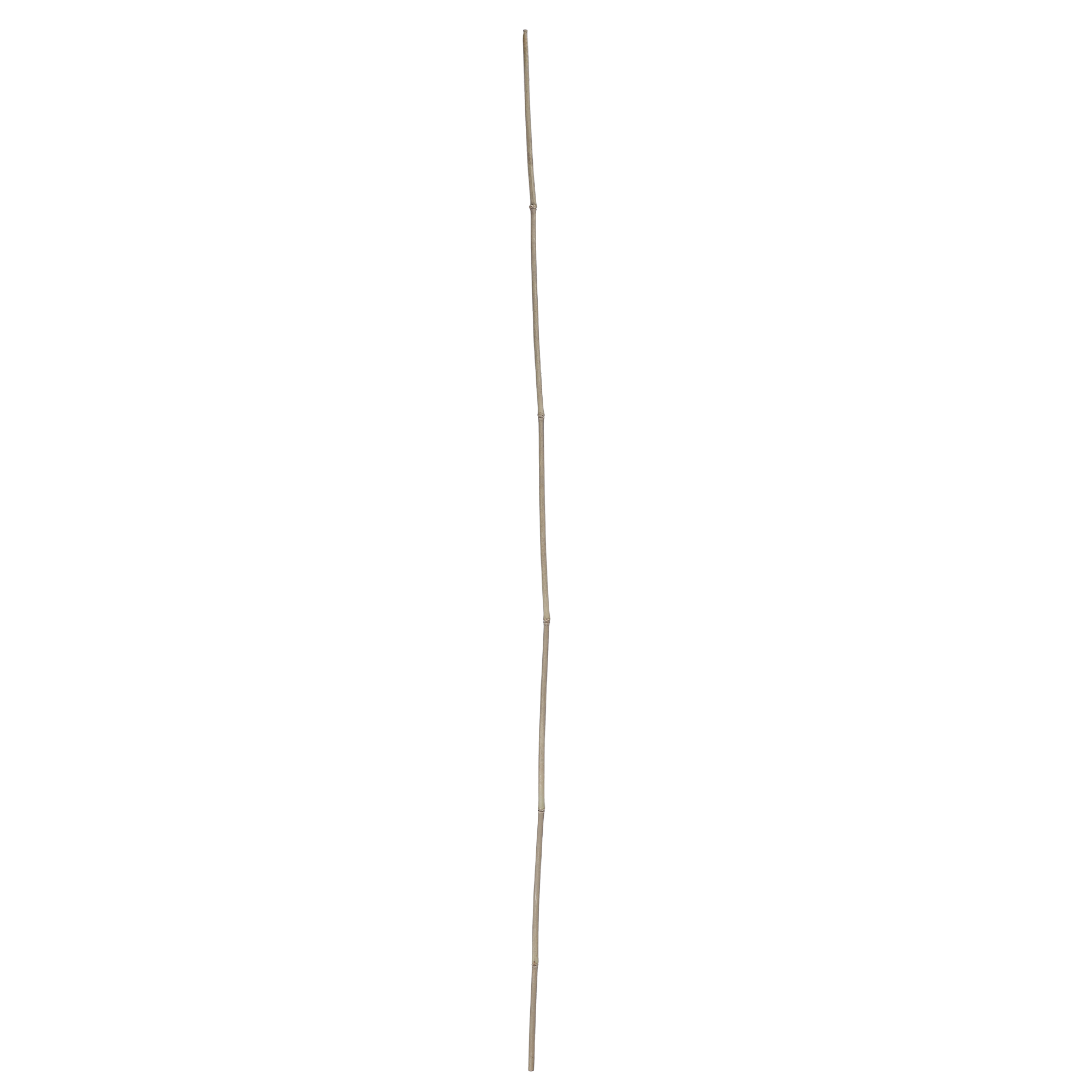Tuteur de jardin en bambou 150 cm
